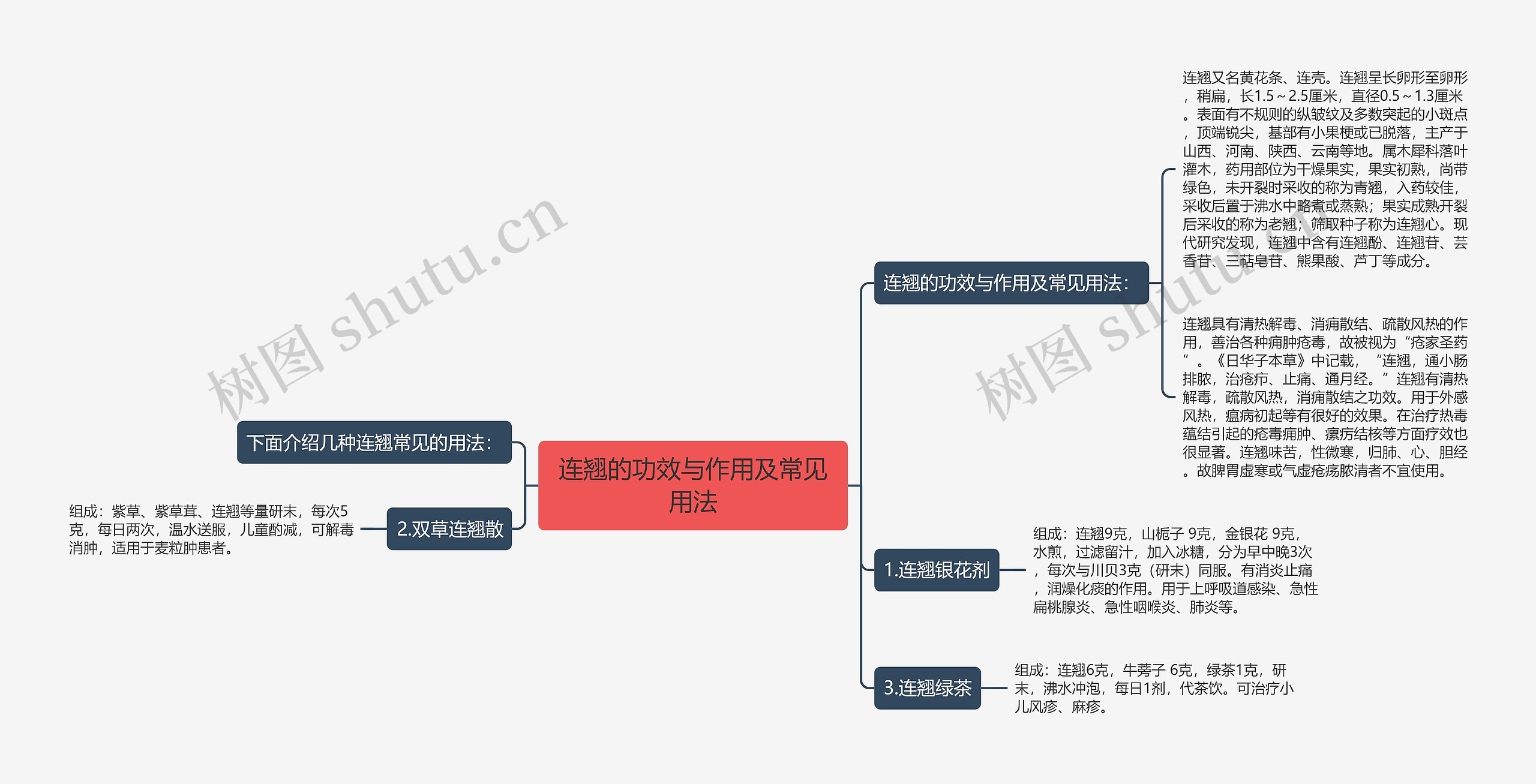 连翘的功效与作用及常见用法思维导图