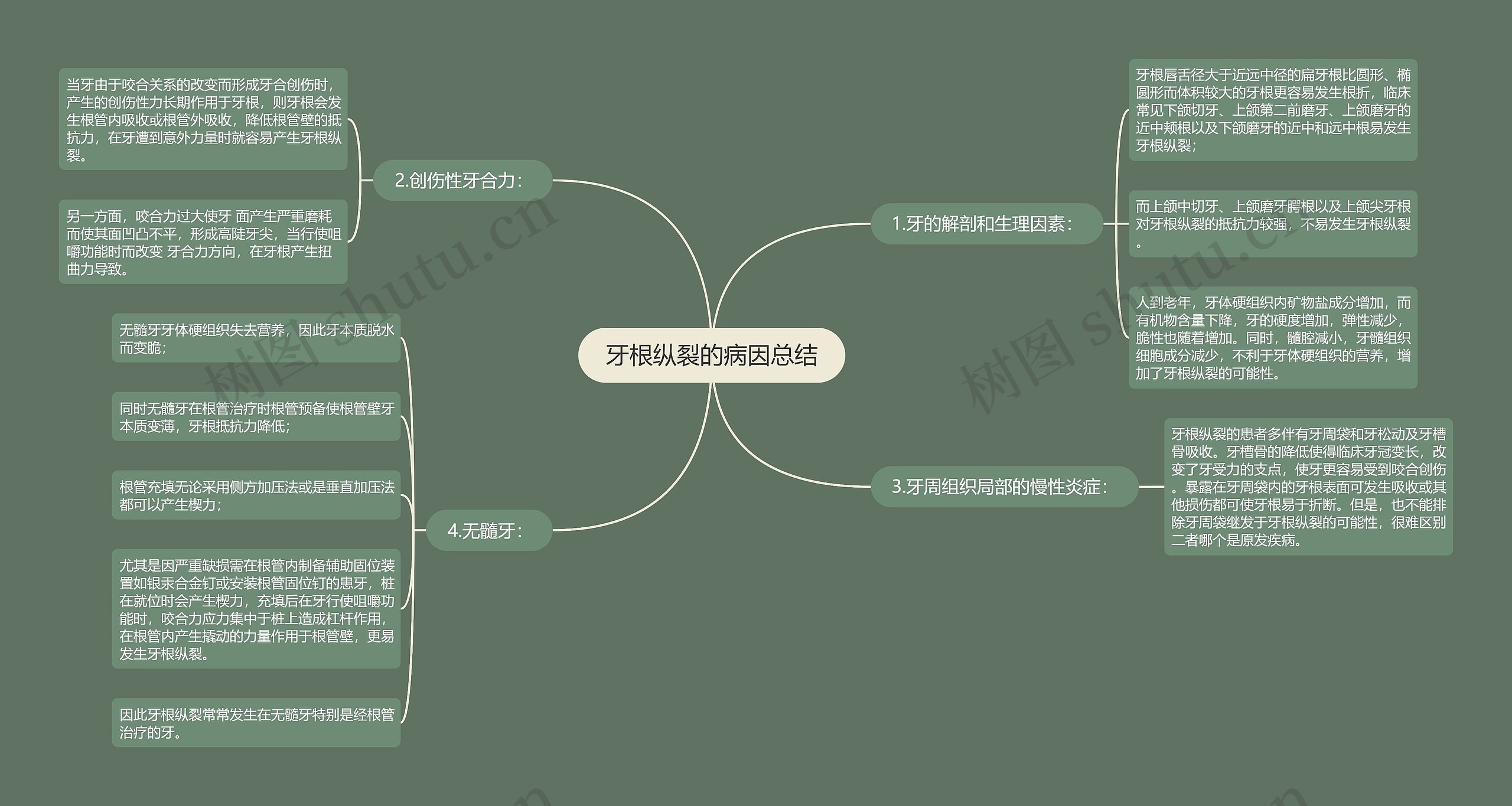 牙根纵裂的病因总结思维导图