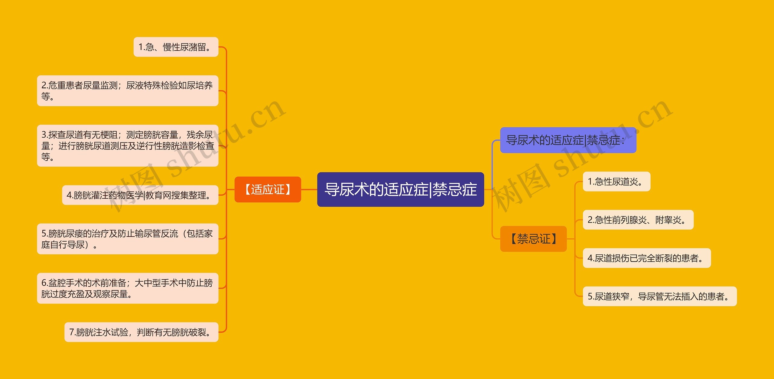 导尿术的适应症|禁忌症思维导图