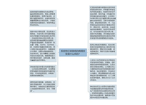 系统性红斑狼疮的病理改变是什么样的？