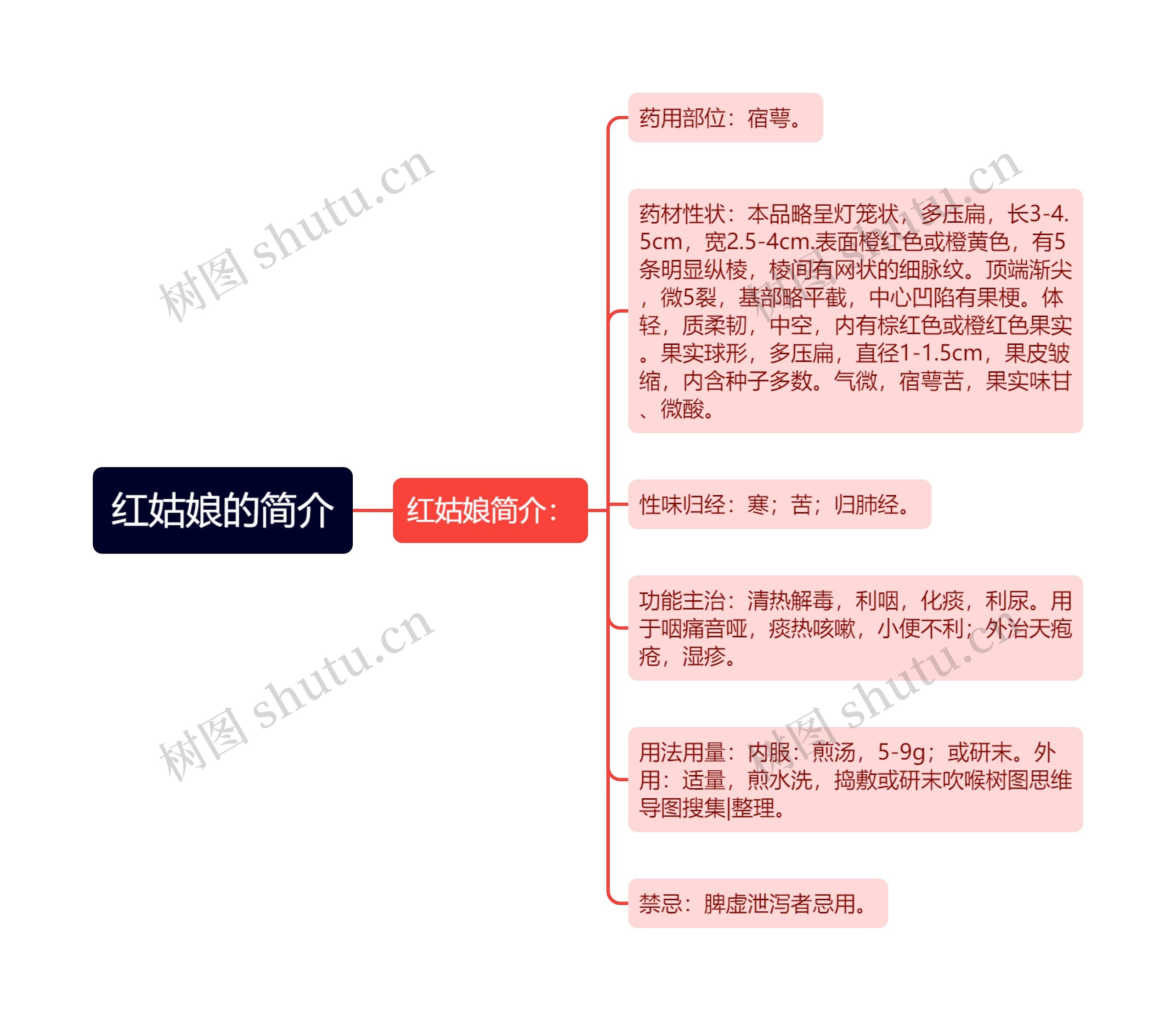 红姑娘的简介 红姑娘的简介
