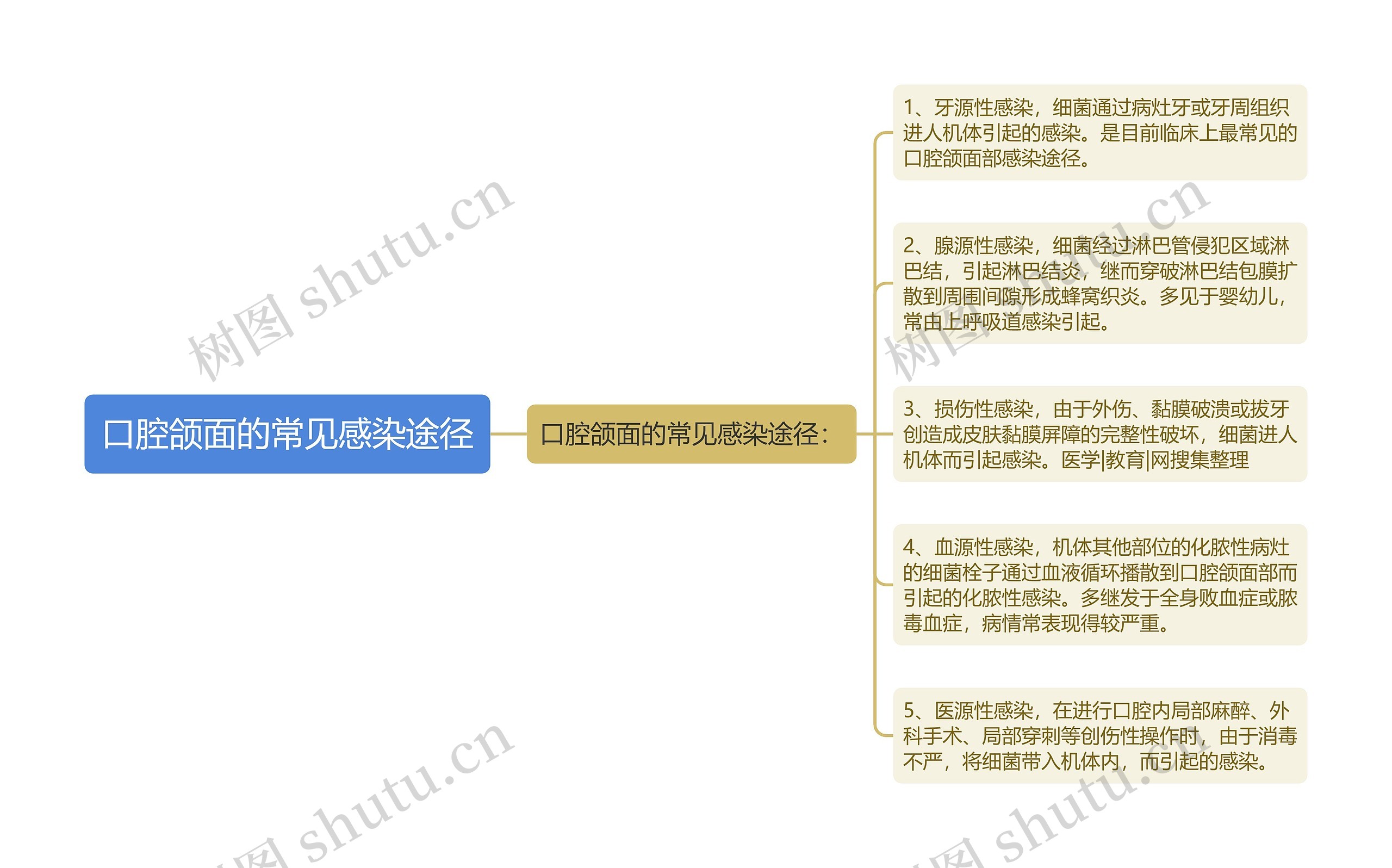 口腔颌面的常见感染途径 口腔颌面的常见感染途径