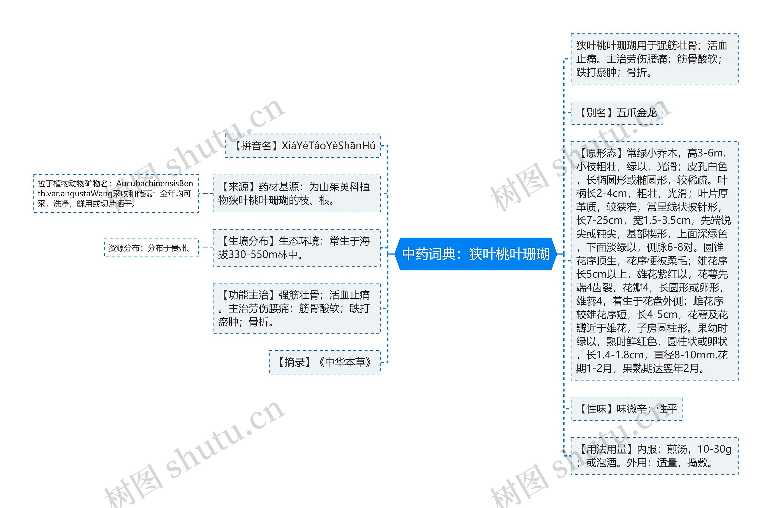 中药词典：狭叶桃叶珊瑚