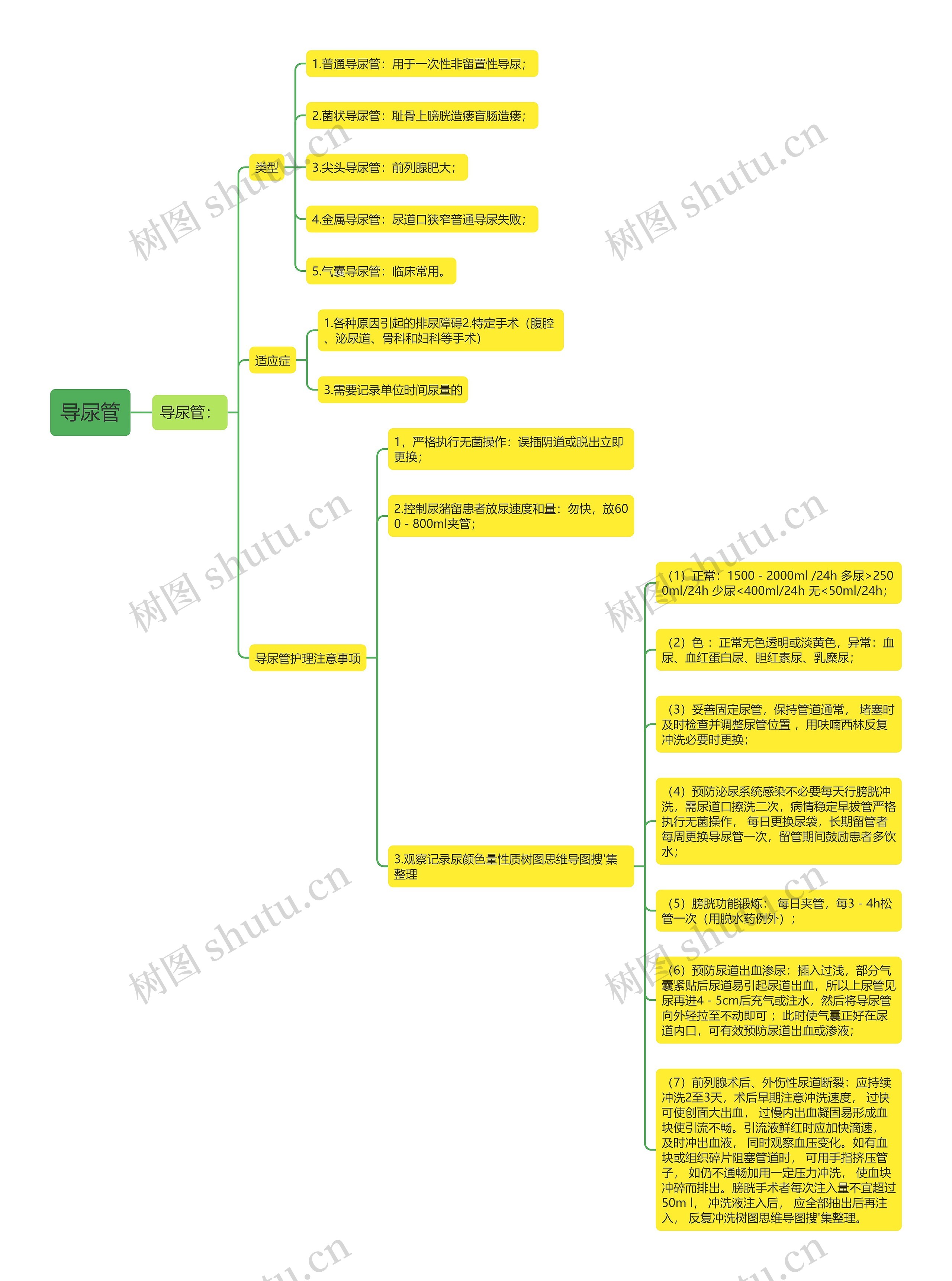 导尿管思维导图