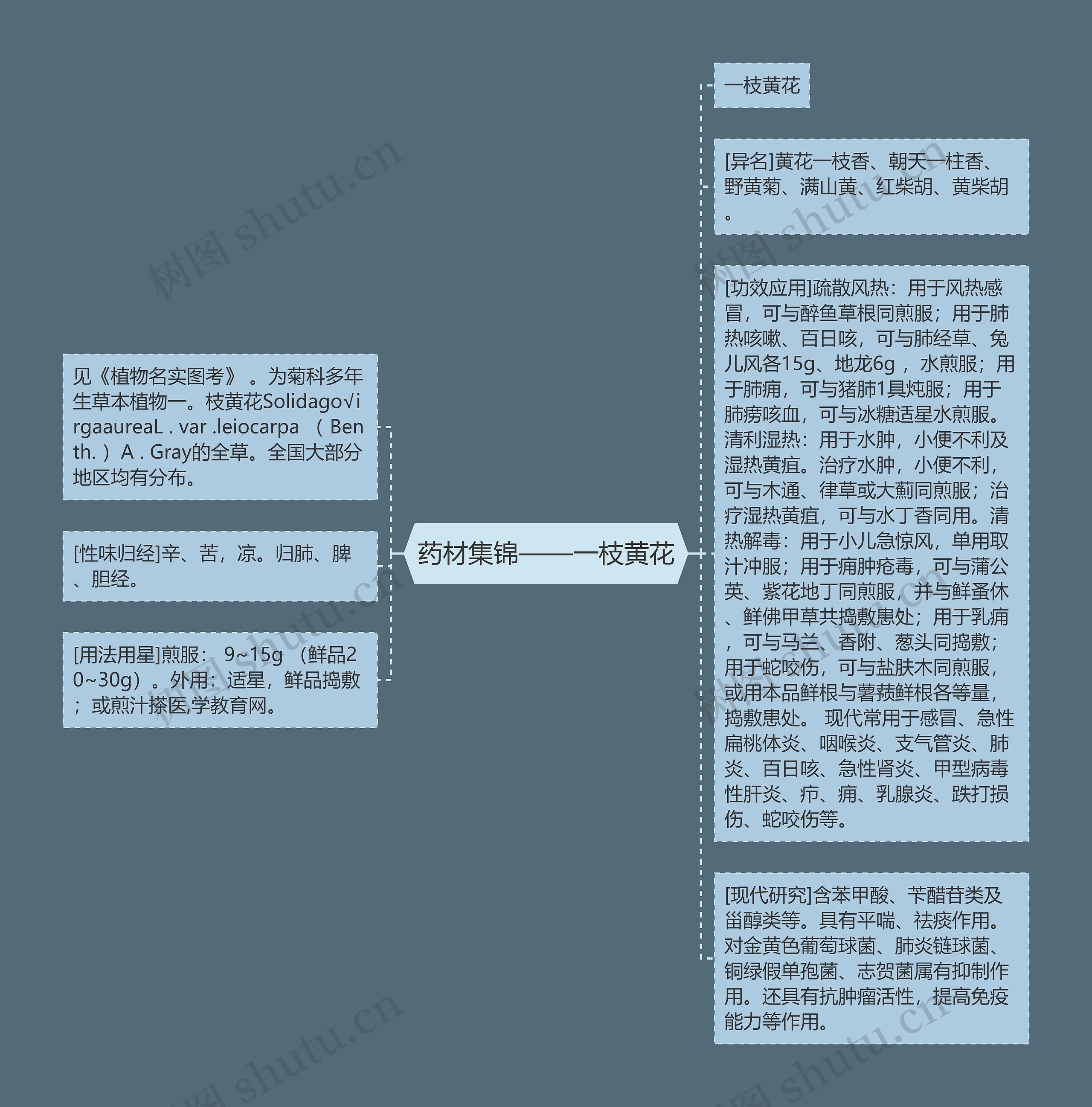 药材集锦——一枝黄花思维导图