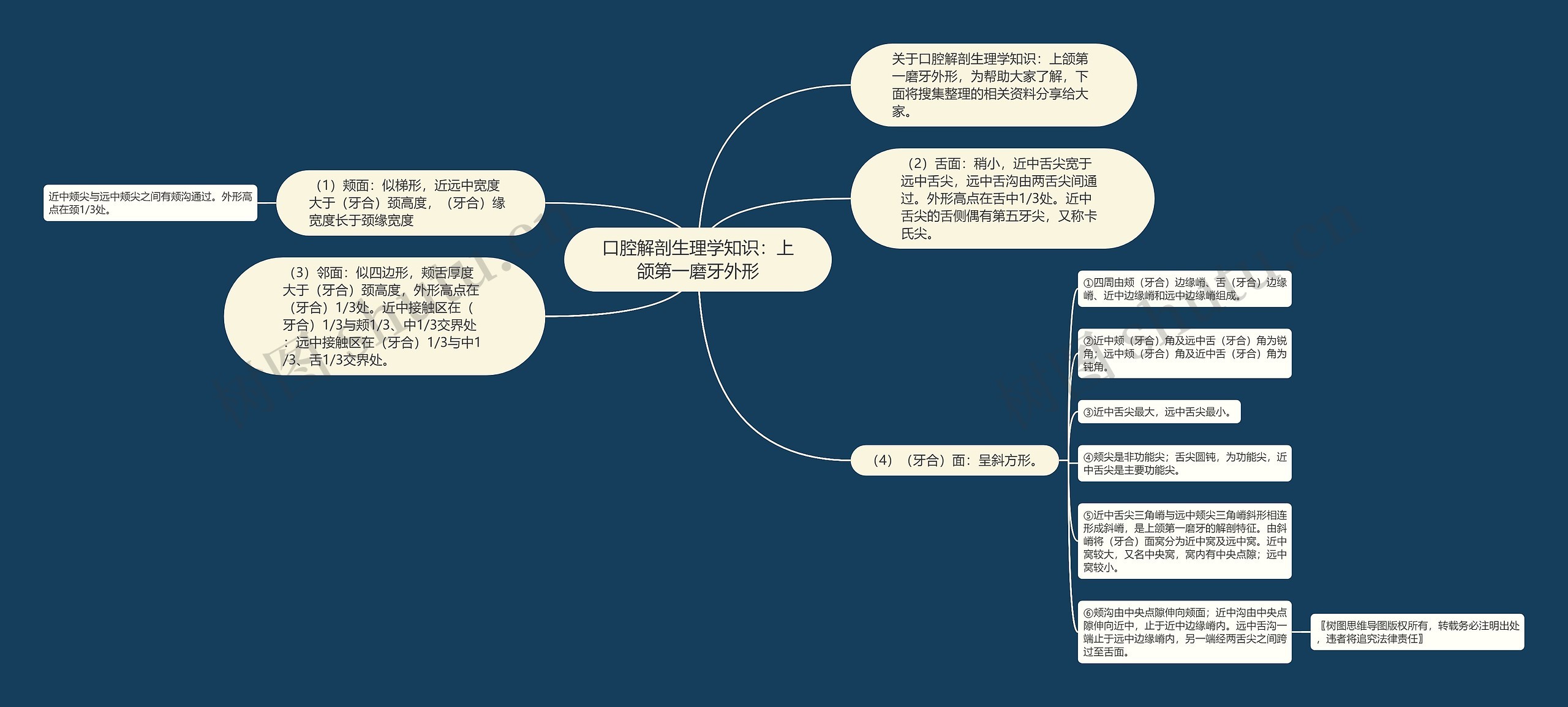 口腔解剖生理学知识：上颌第一磨牙外形思维导图