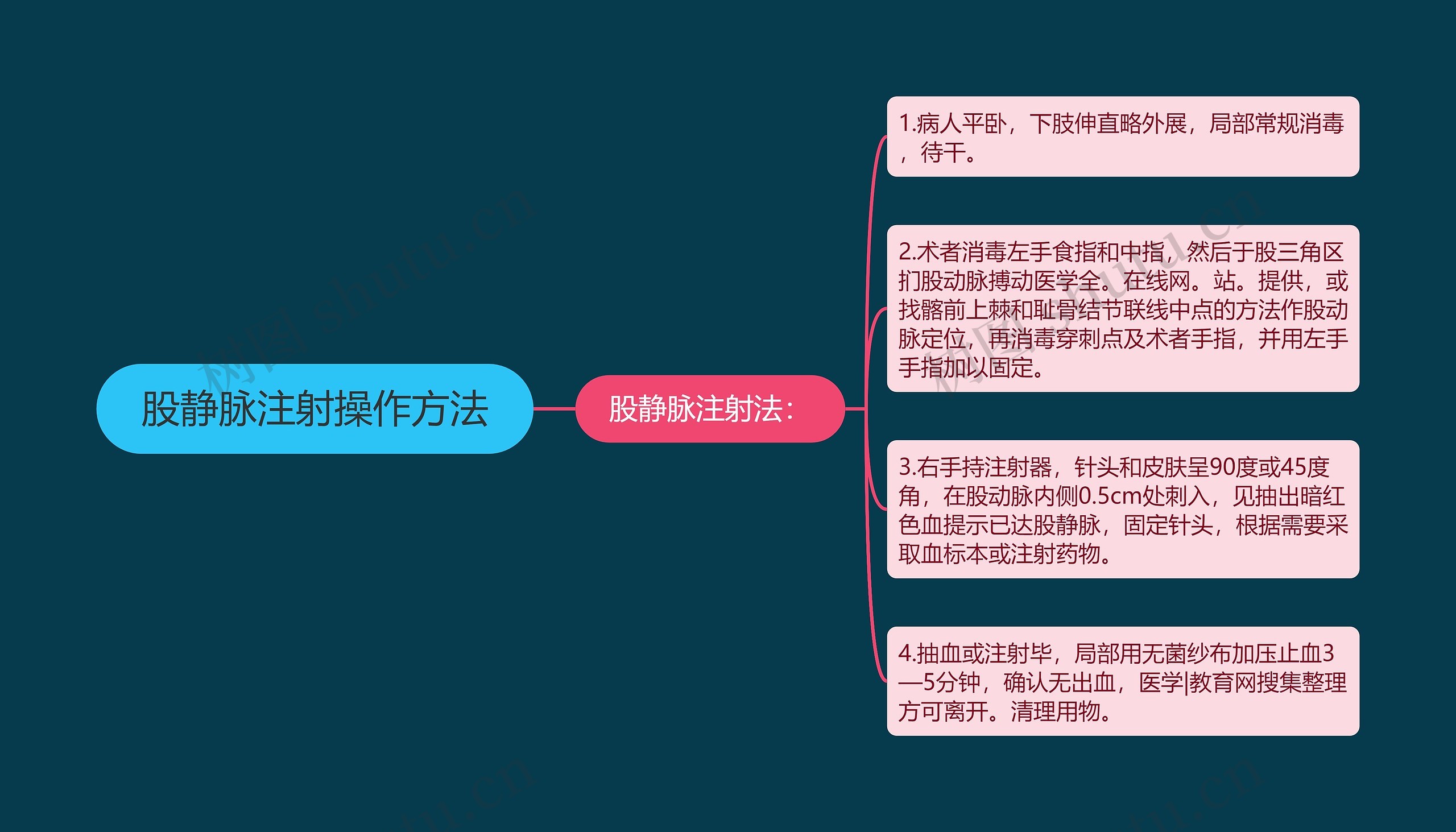 股静脉注射操作方法 股静脉注射操作方法