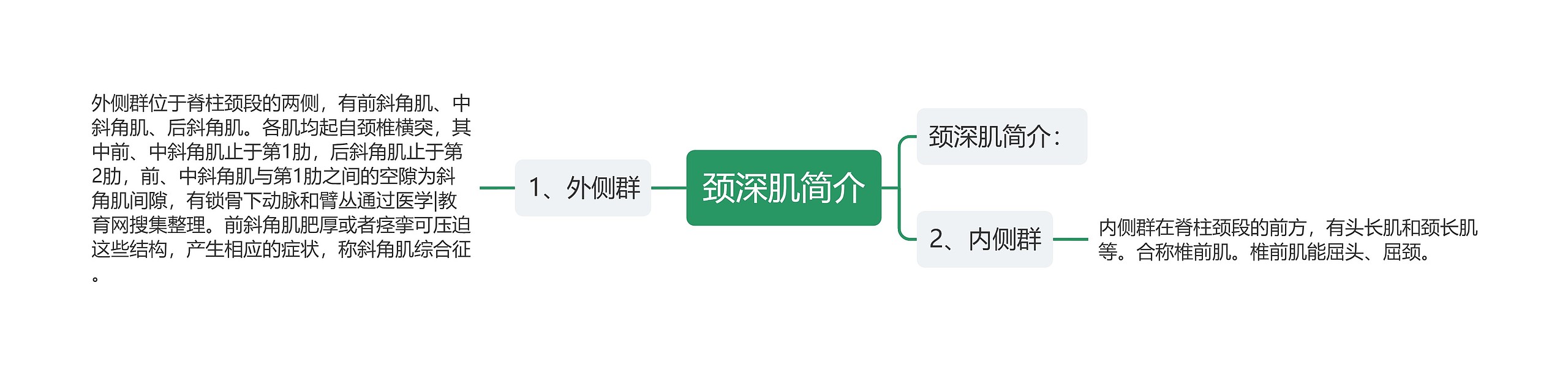 颈深肌简介思维导图