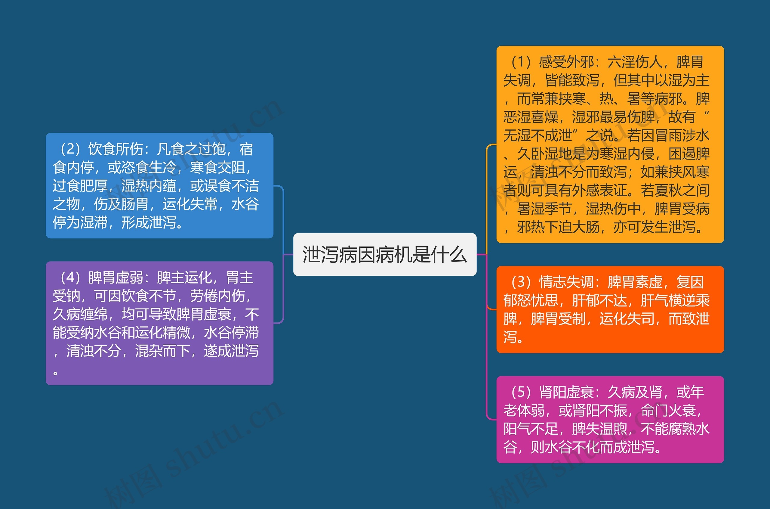 泄泻病因病机是什么思维导图