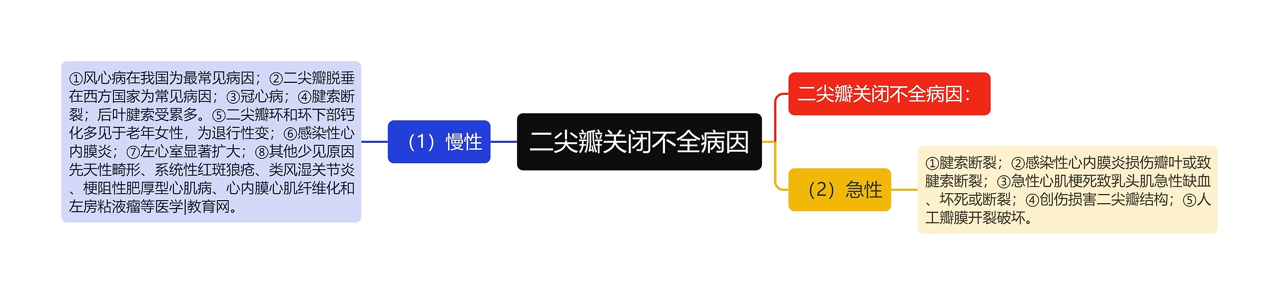 二尖瓣关闭不全病因思维导图