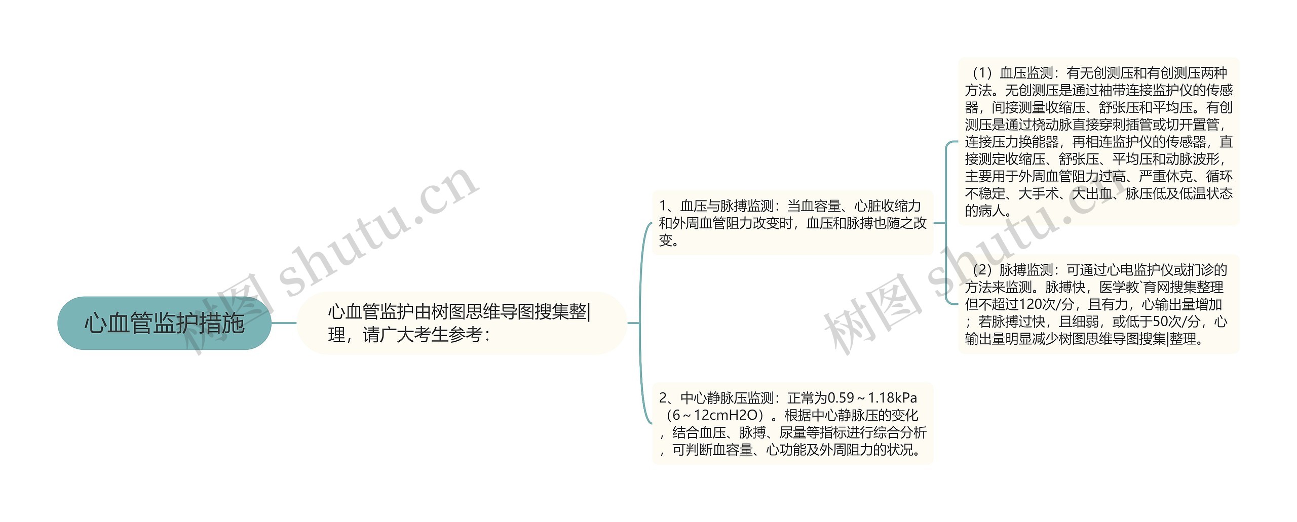 心血管监护措施思维导图