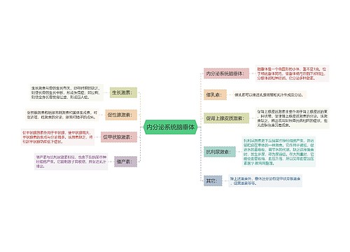 内分泌系统脑垂体