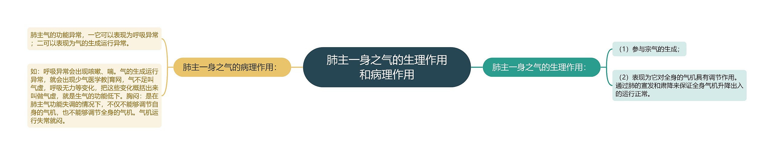 肺主一身之气的生理作用和病理作用 肺主一身之气的生理作用和病理作用
