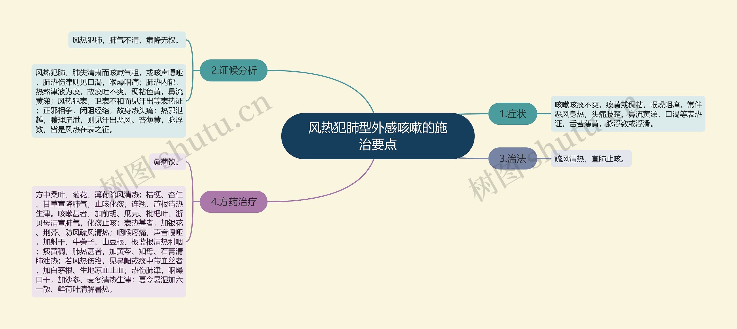 风热犯肺型外感咳嗽的施治要点思维导图