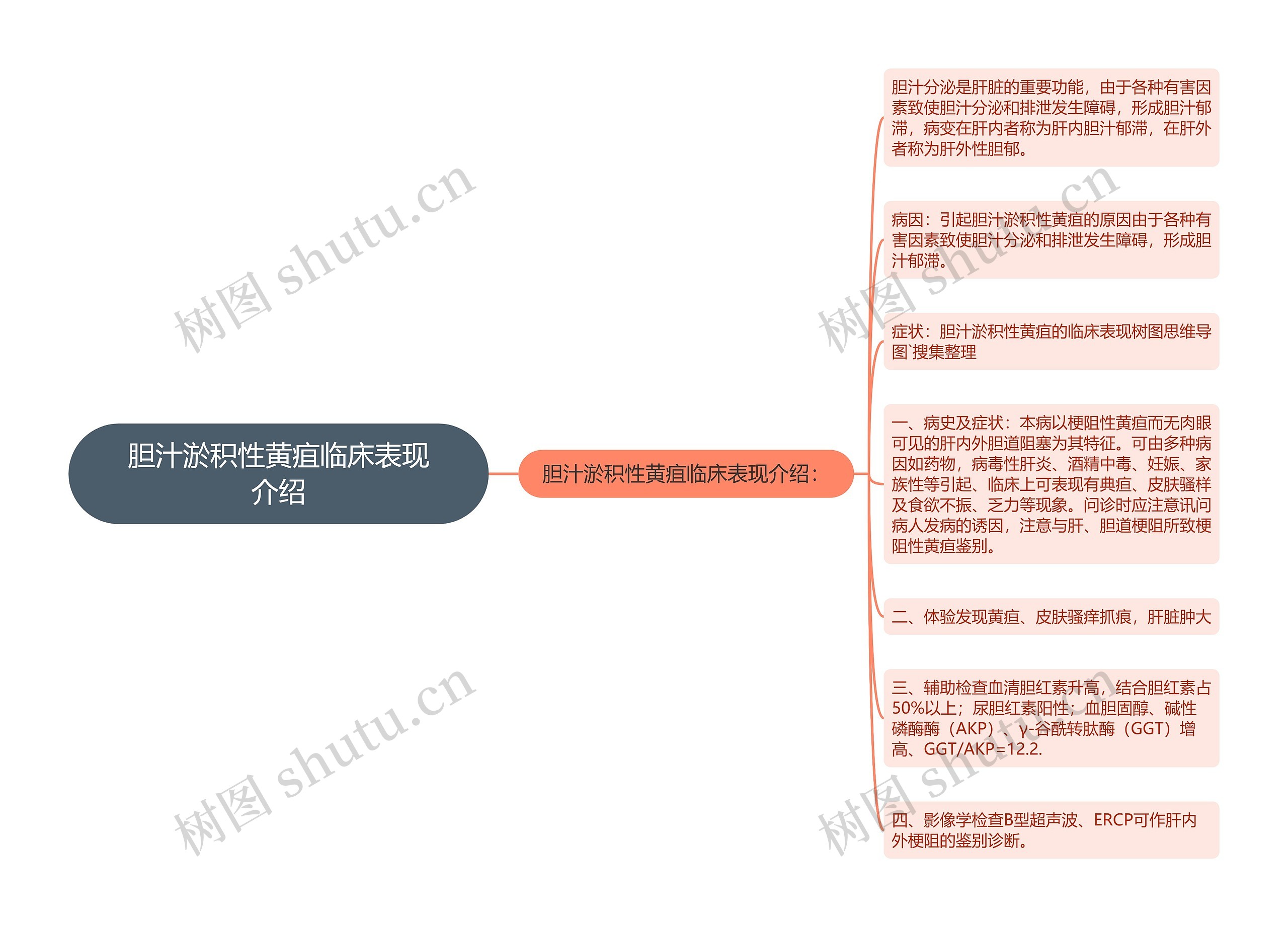 胆汁淤积性黄疽临床表现介绍思维导图