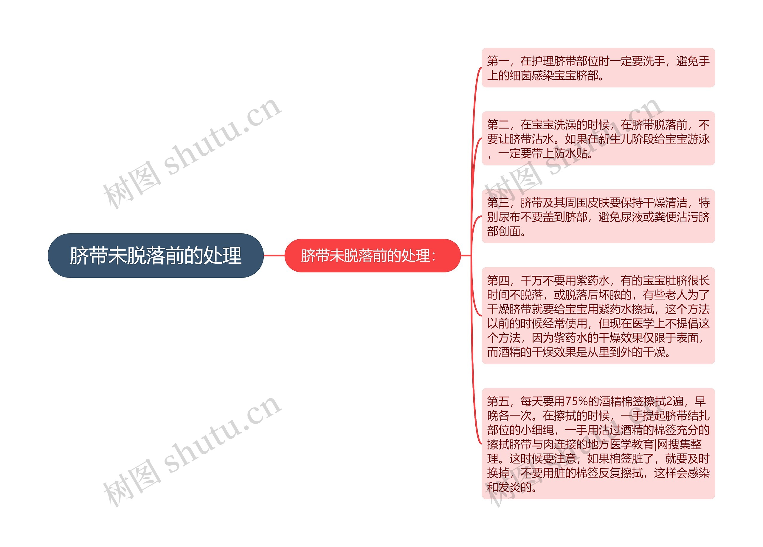 脐带未脱落前的处理思维导图