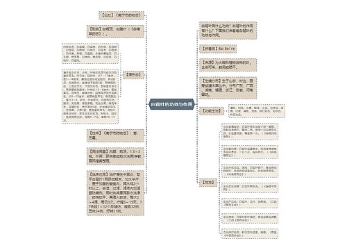白背叶的功效与作用