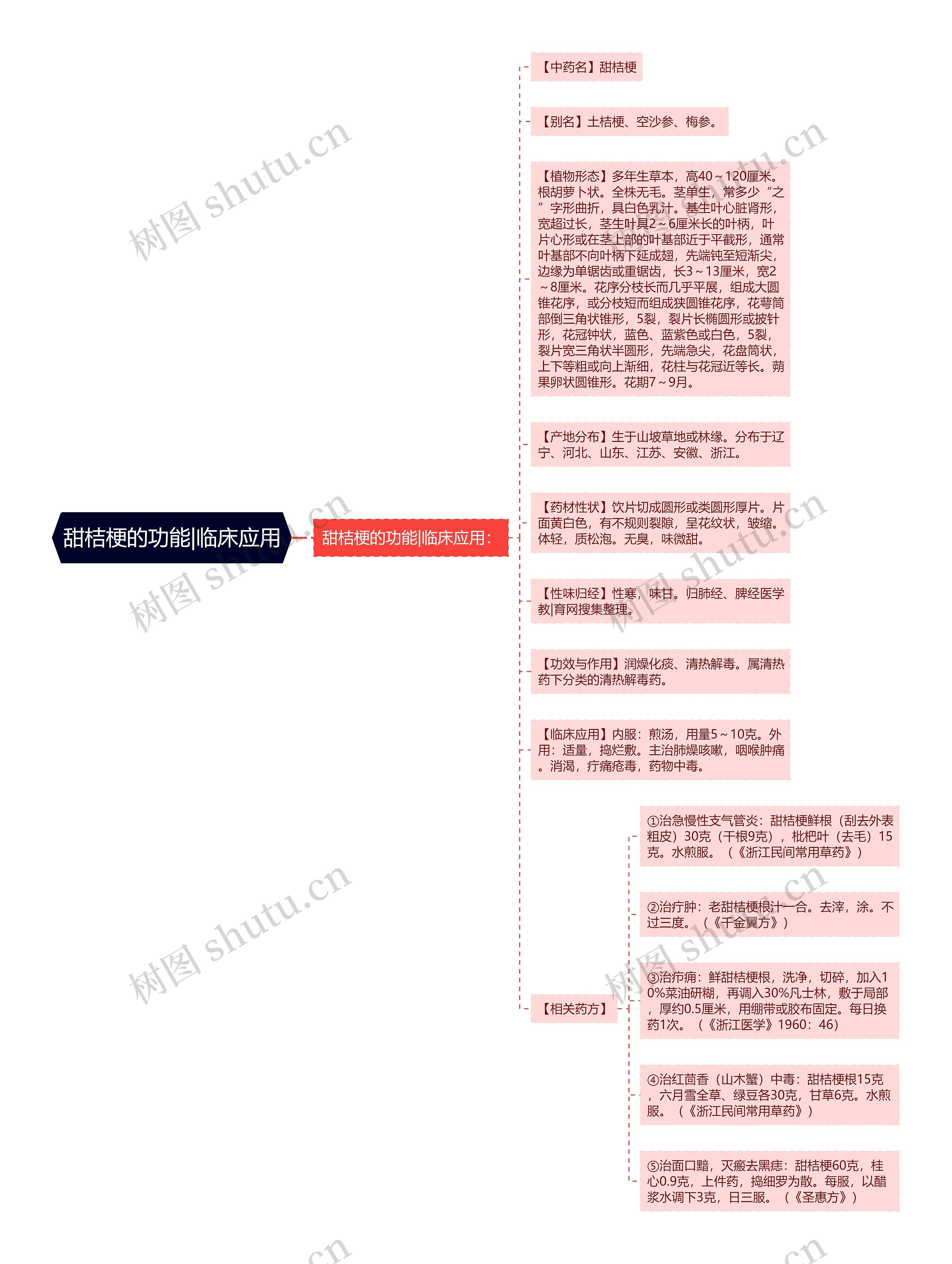 甜桔梗的功能|临床应用思维导图