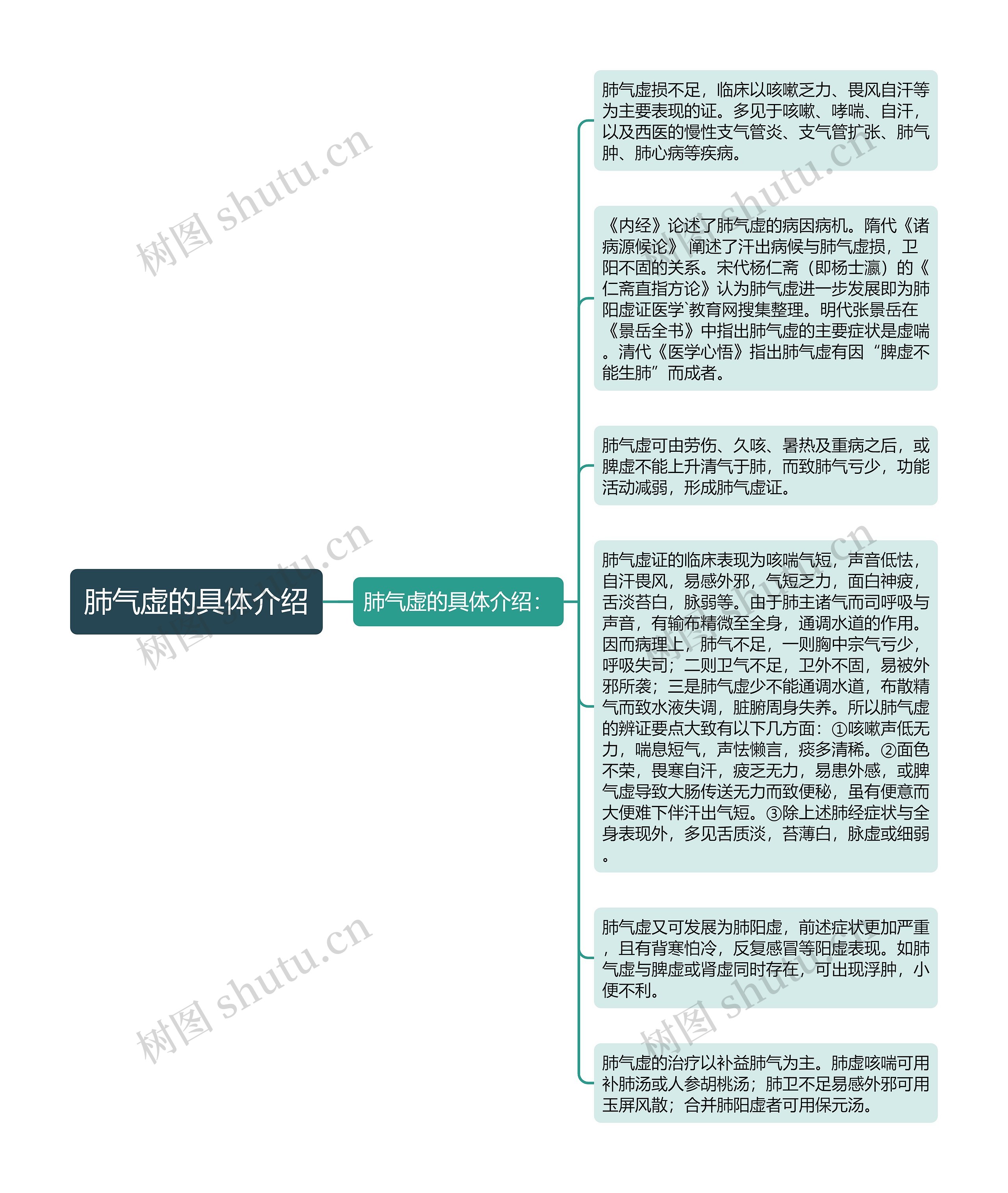 肺气虚的具体介绍思维导图