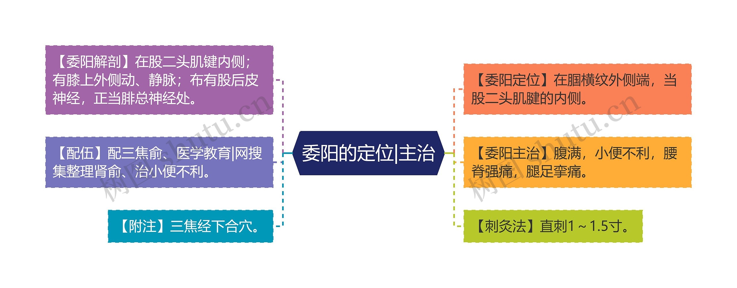 委阳的定位|主治 委阳的定位|主治