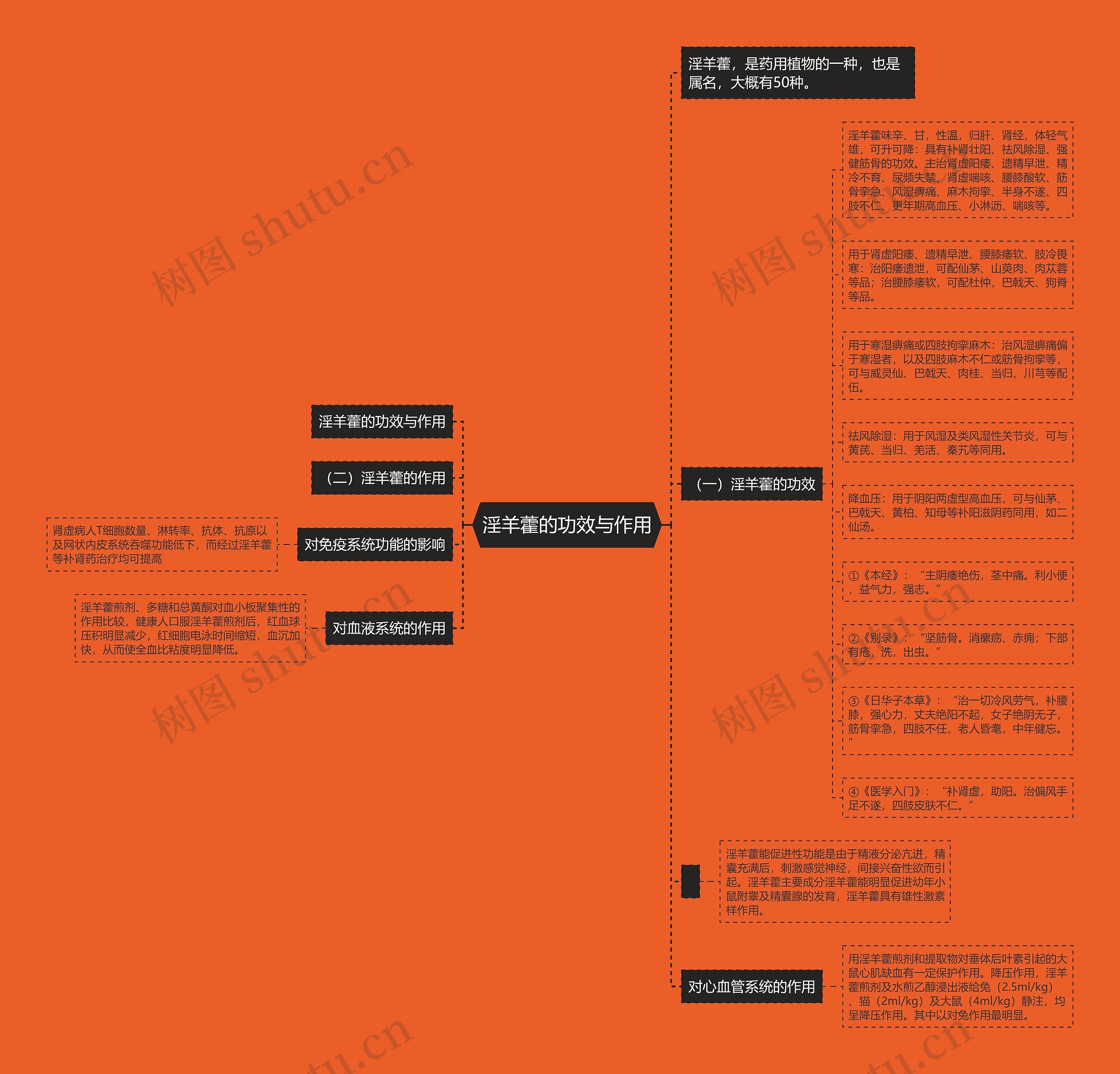 淫羊藿的功效与作用 淫羊藿的功效与作用