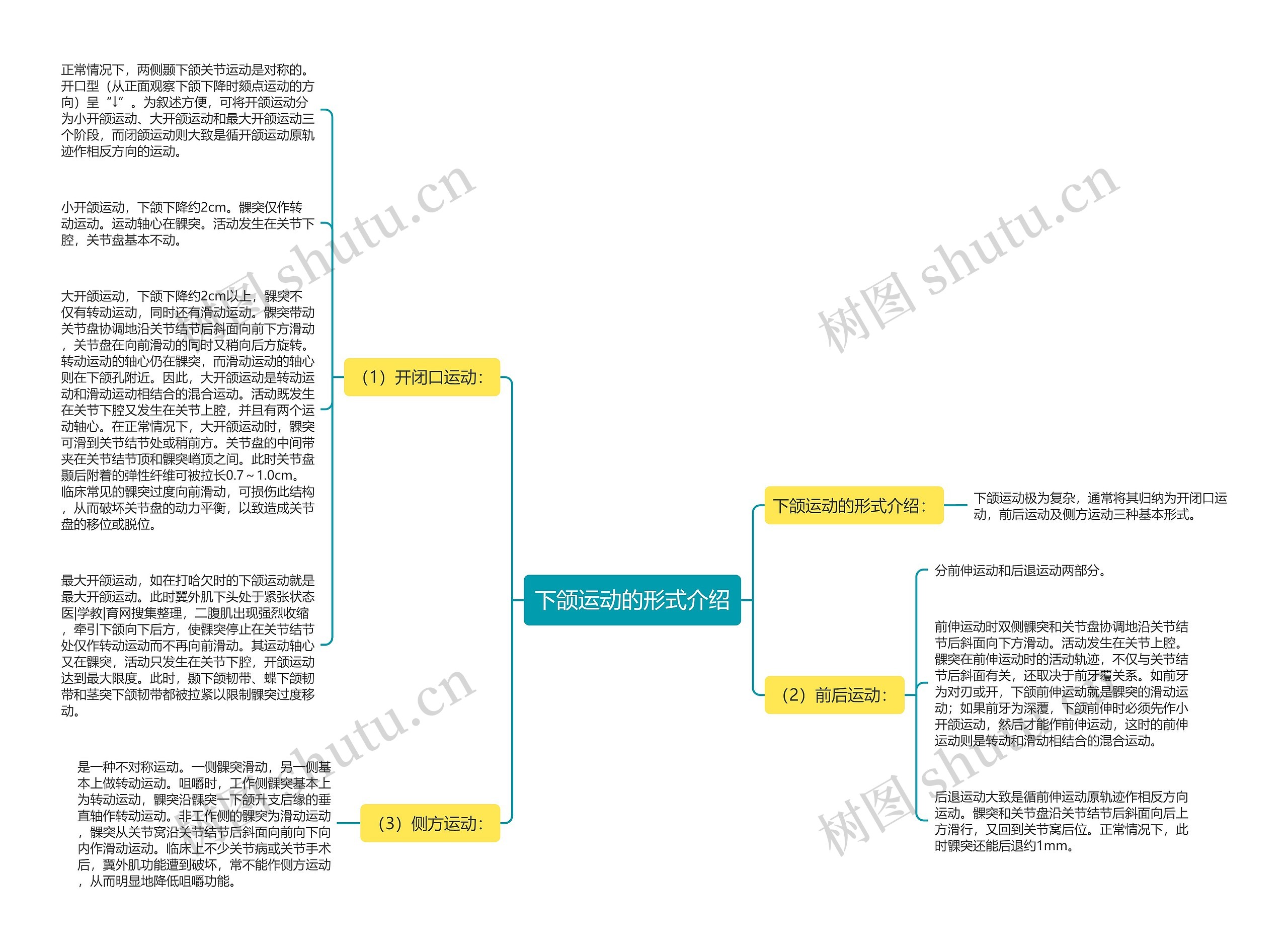 下颌运动的形式介绍思维导图