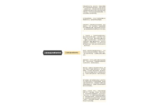 口腔前庭的解剖结构