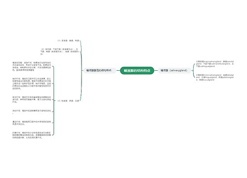 唾液腺的结构特点