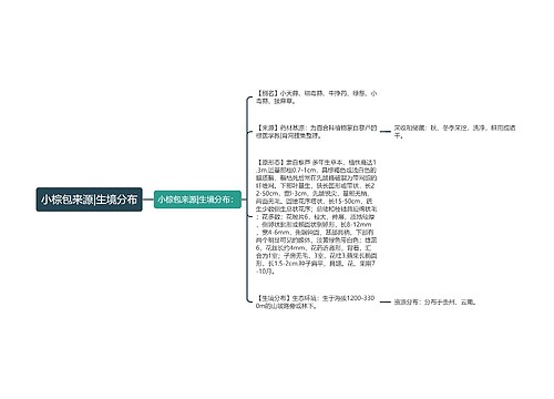 小棕包来源|生境分布