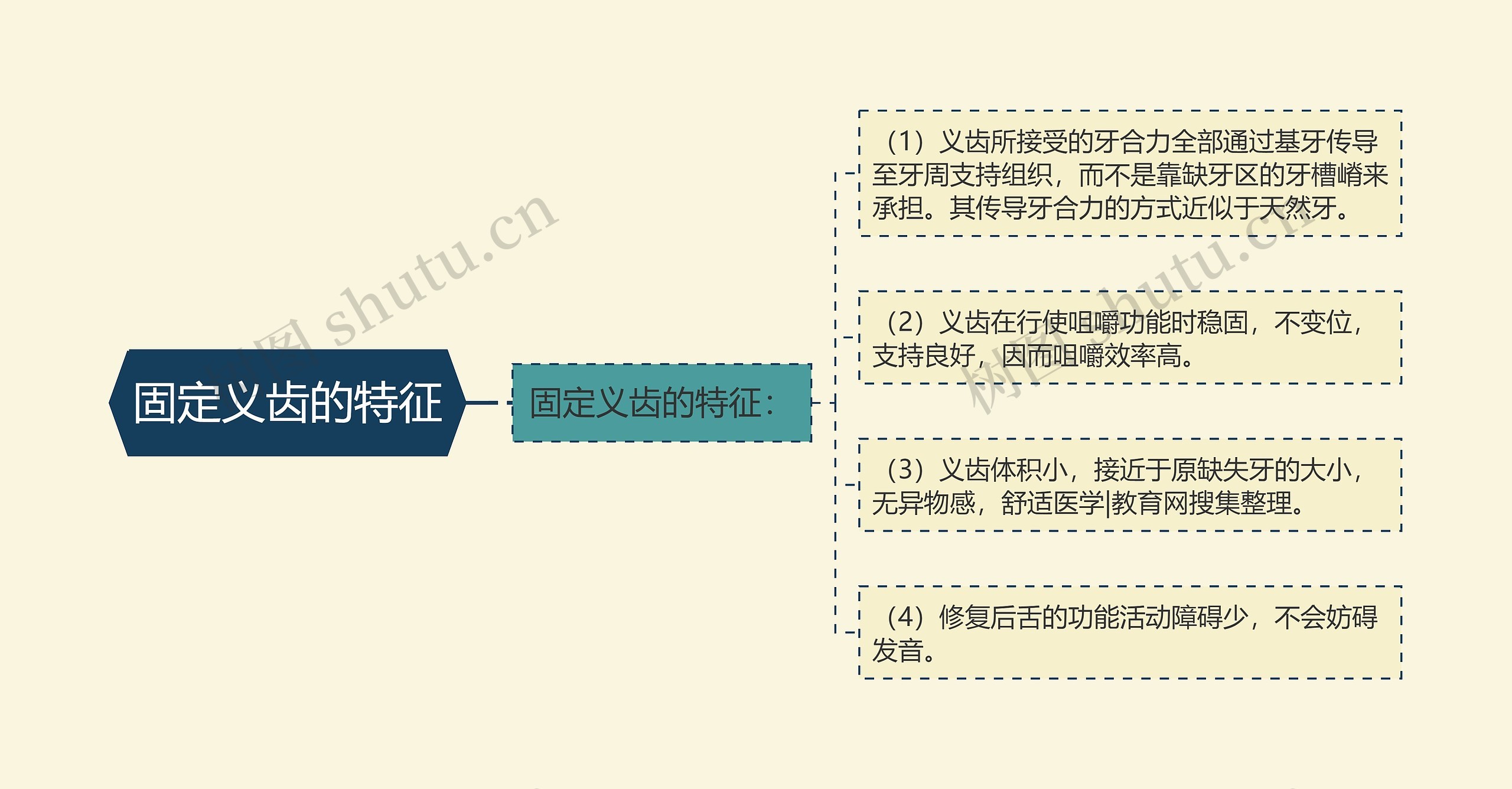 固定义齿的特征