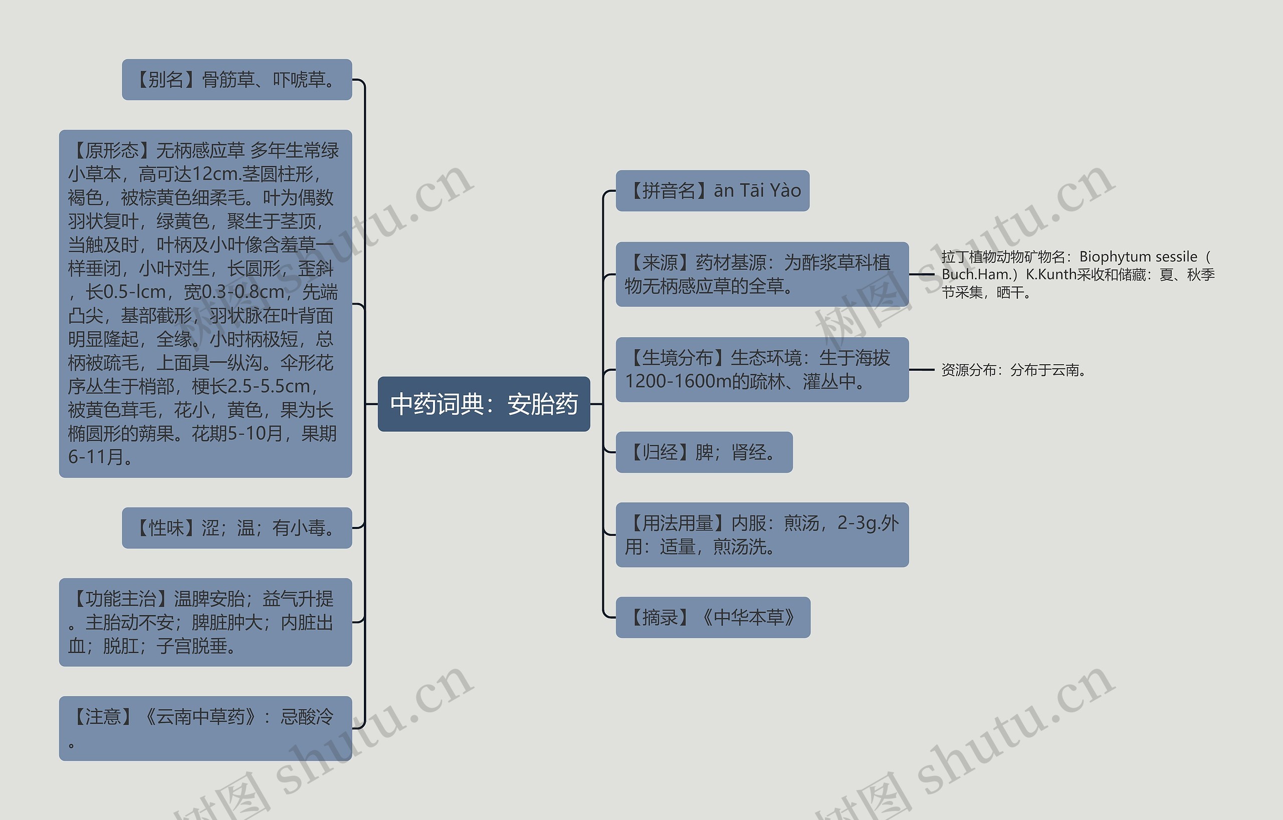 中药词典：安胎药