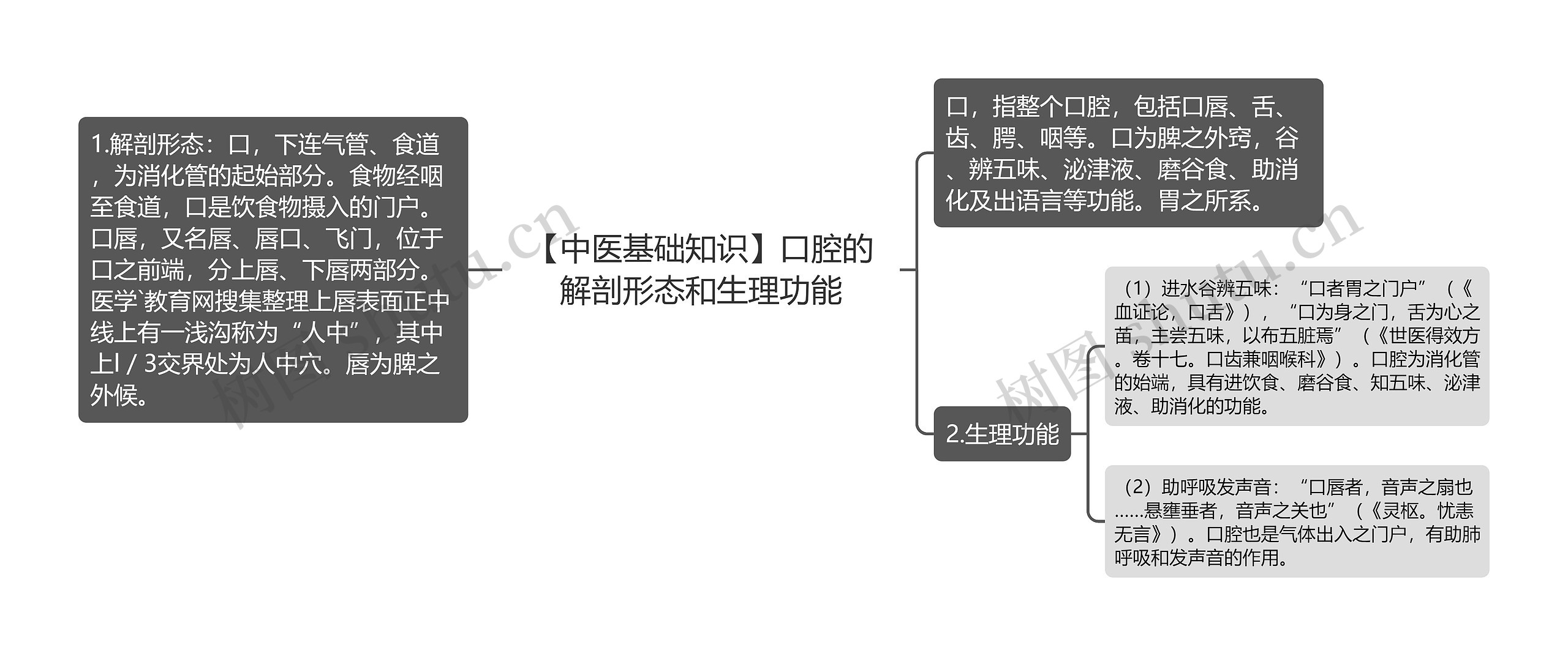 【中医基础知识】口腔的解剖形态和生理功能思维导图