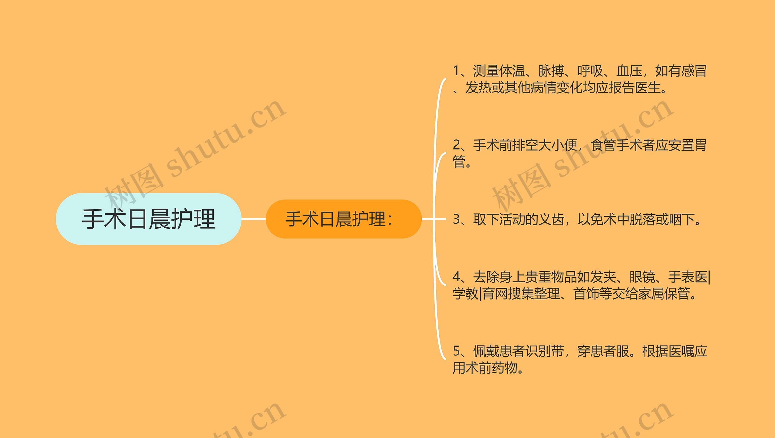 手术日晨护理