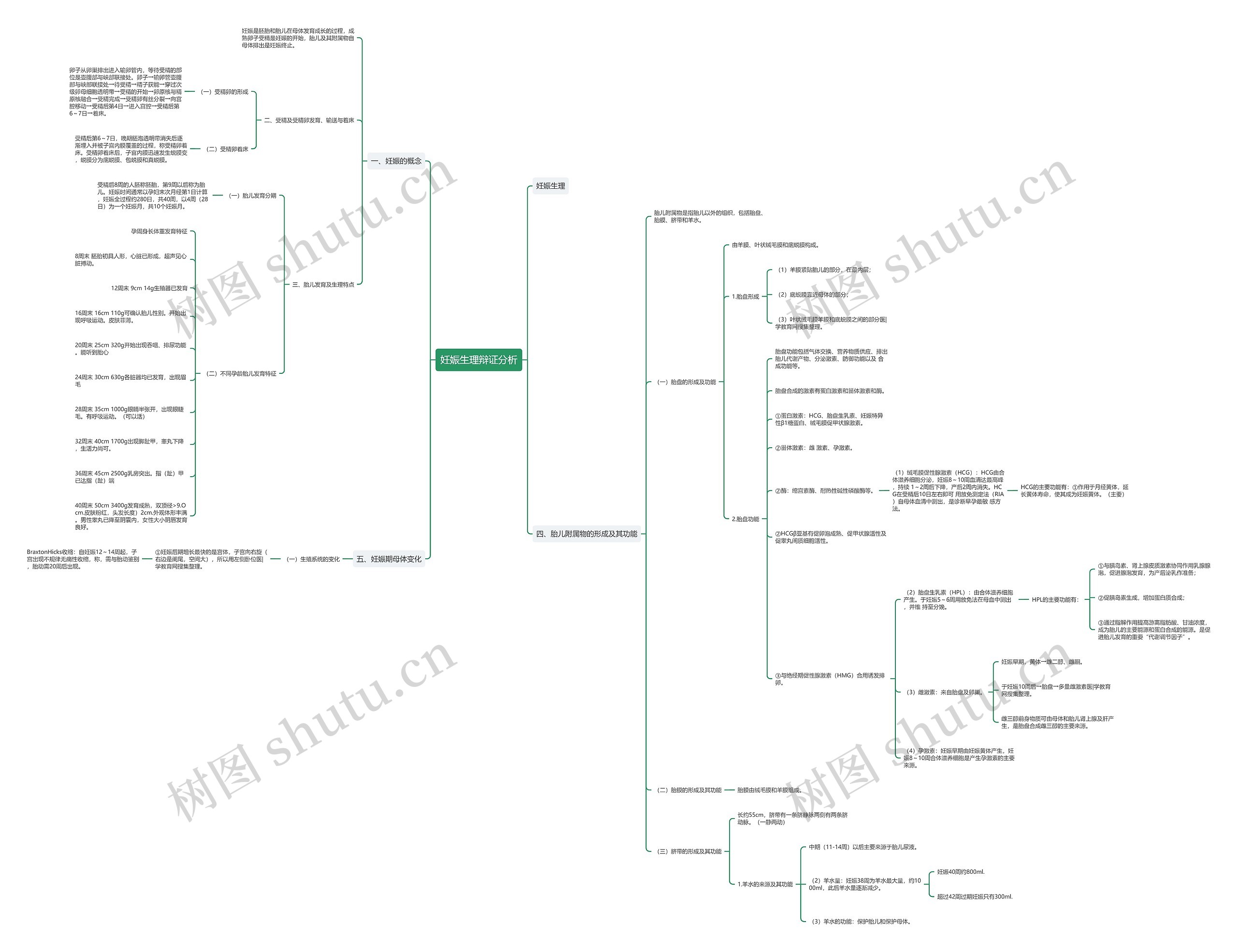 妊娠生理辩证分析 妊娠生理辩证分析