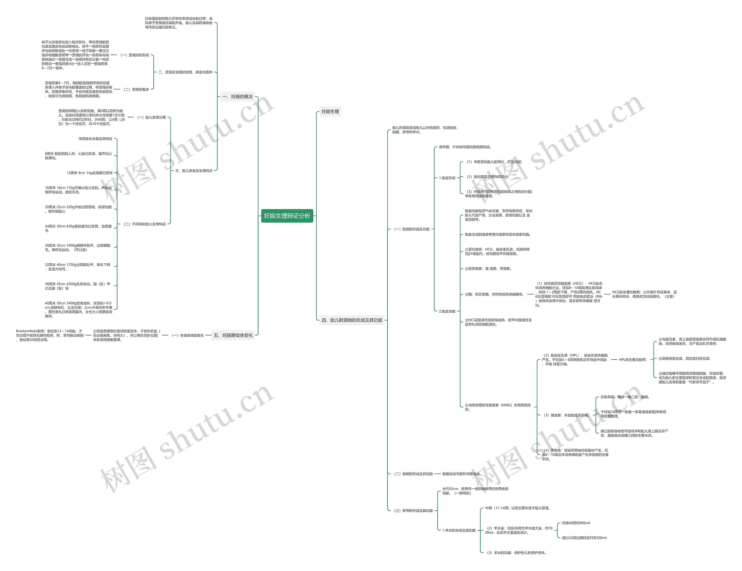 妊娠生理辩证分析思维导图