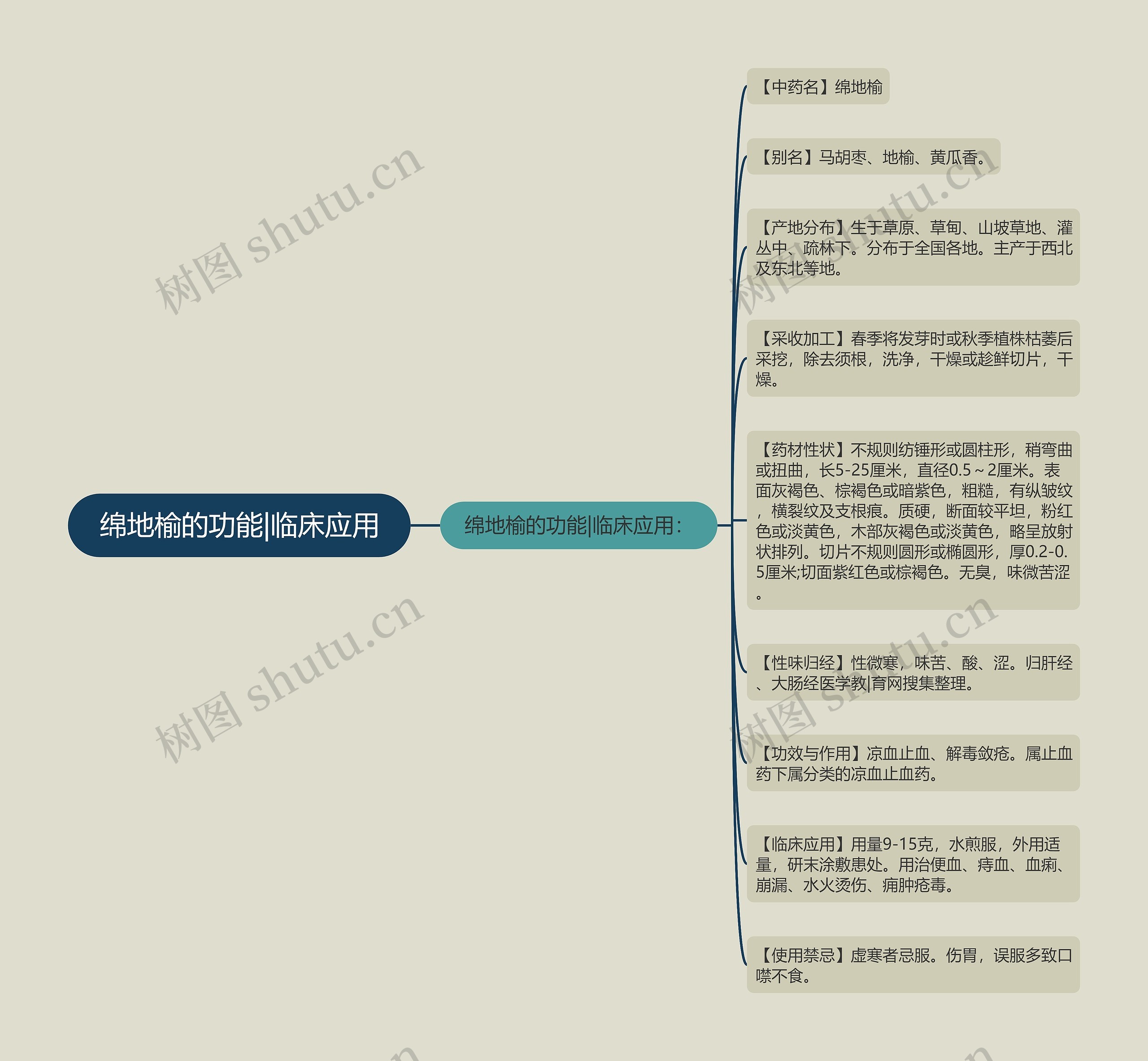 绵地榆的功能|临床应用思维导图