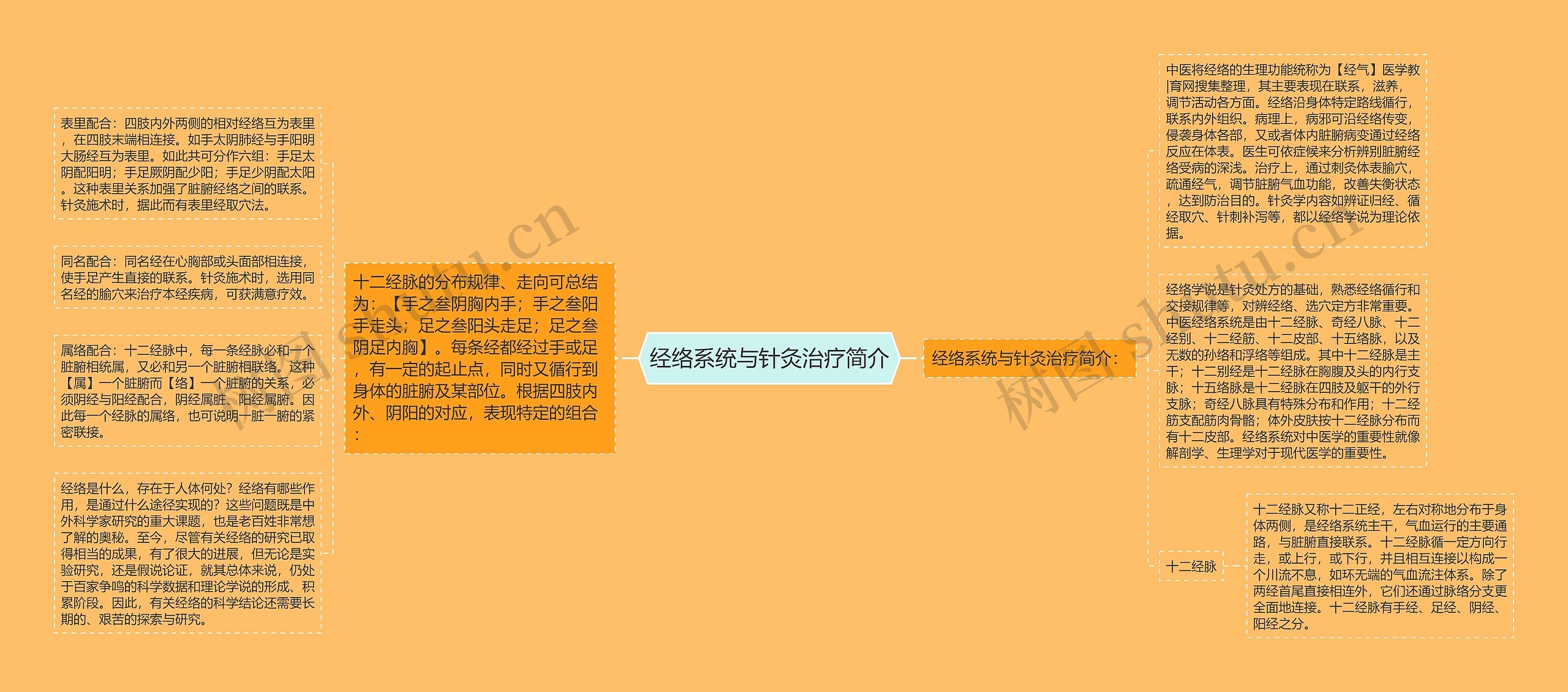 经络系统与针灸治疗简介