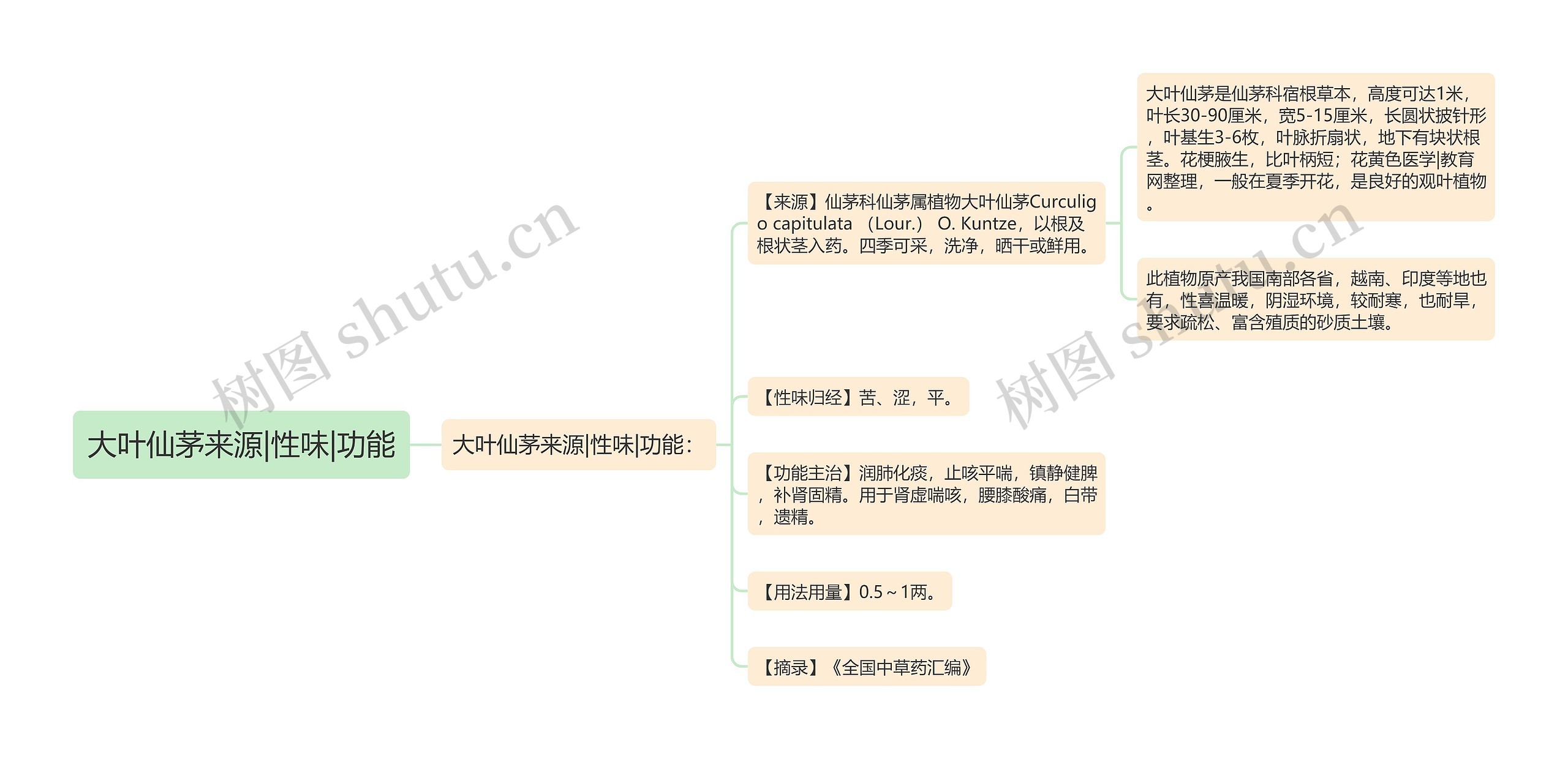 大叶仙茅来源|性味|功能思维导图