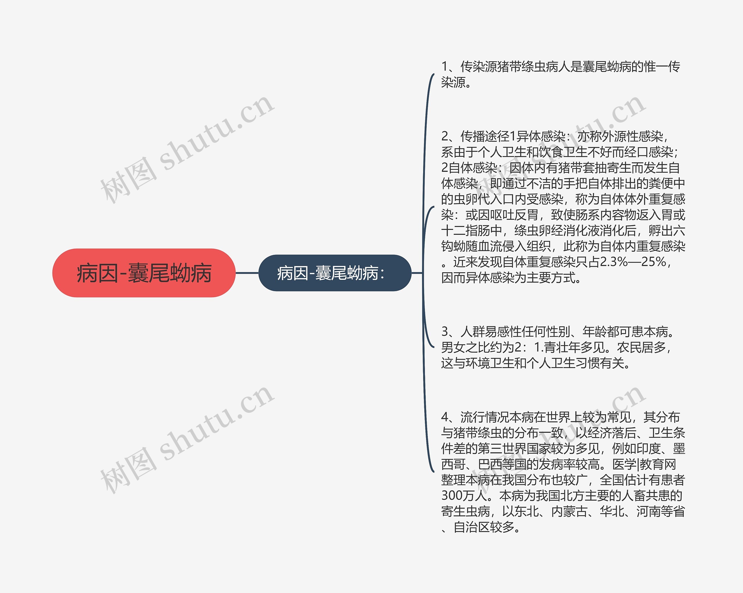 病因-囊尾蚴病思维导图