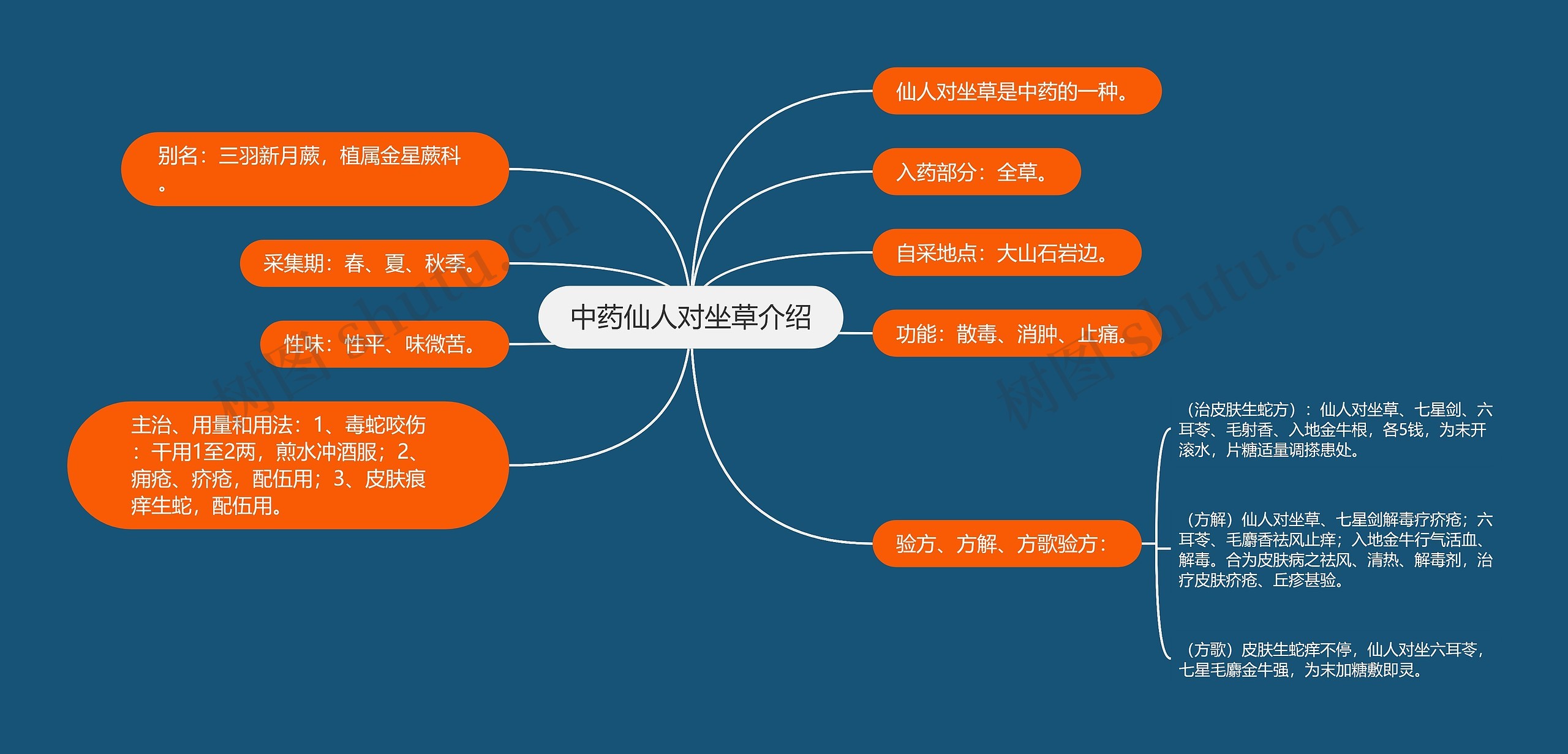 中药仙人对坐草介绍 中药仙人对坐草介绍