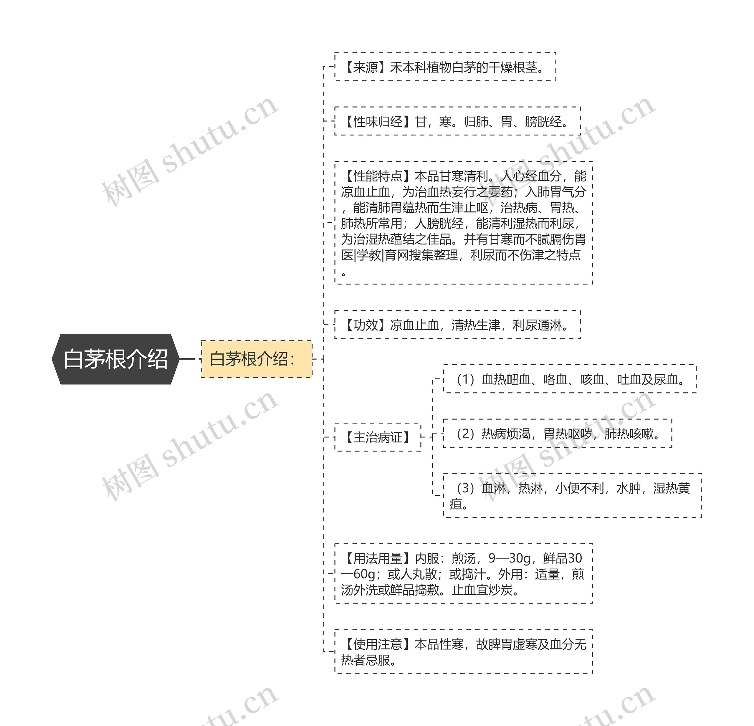 白茅根介绍思维导图