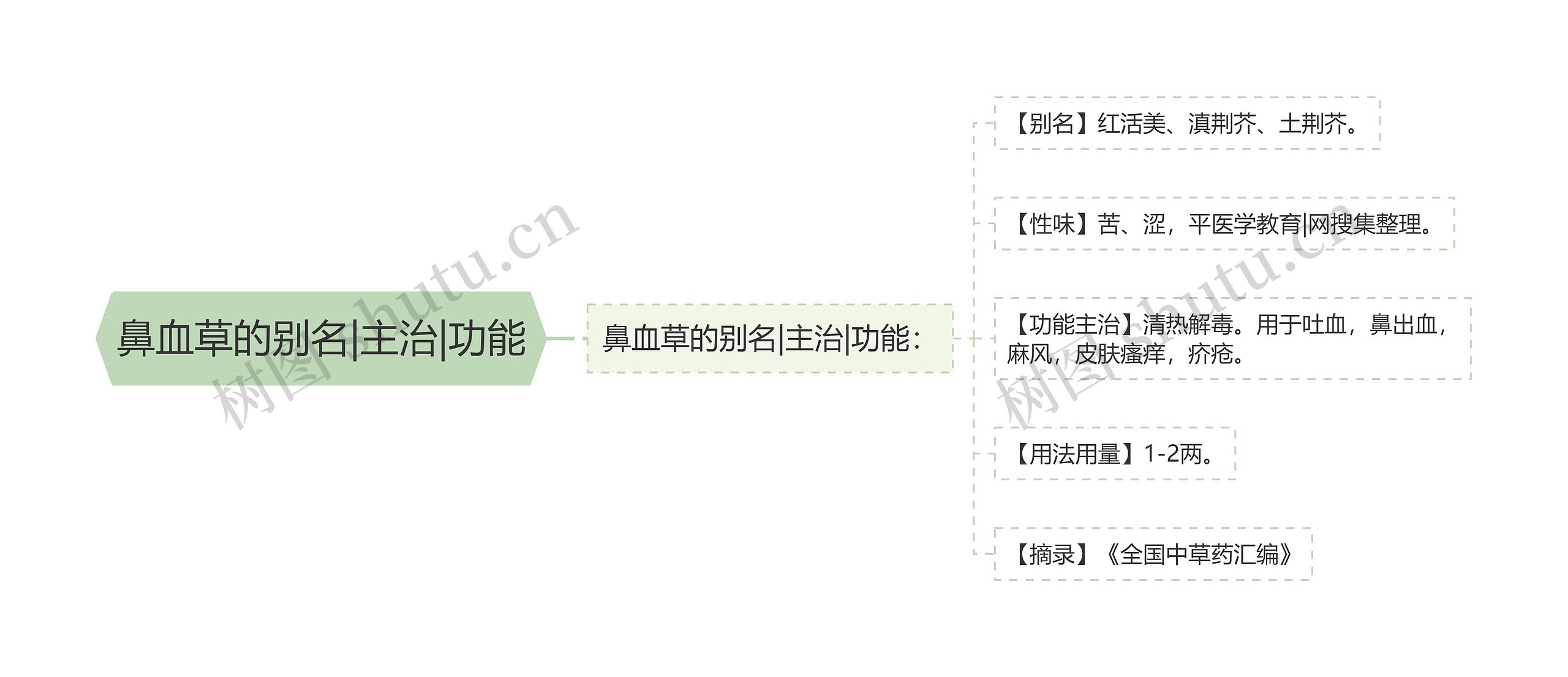 鼻血草的别名|主治|功能思维导图