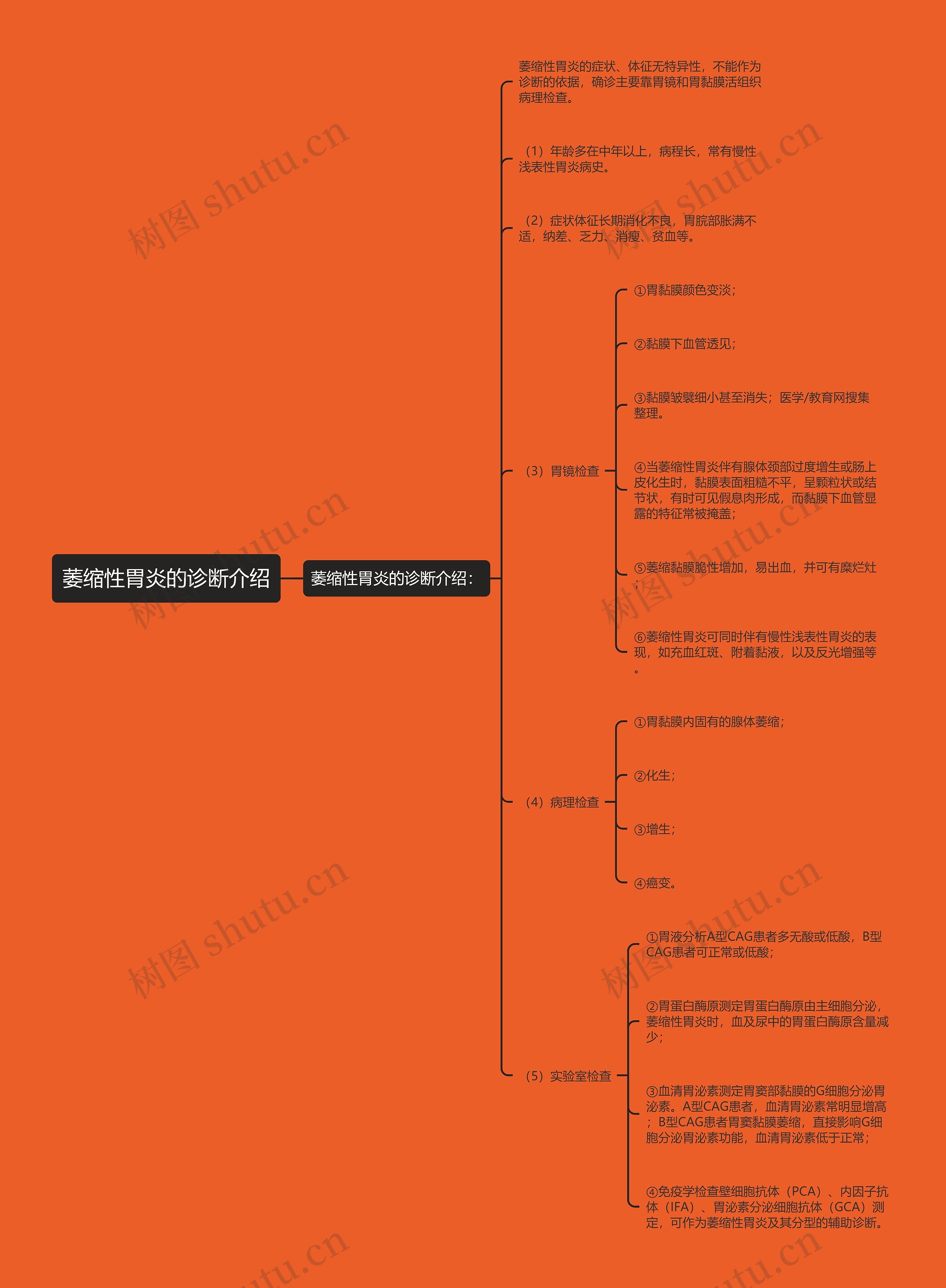 萎缩性胃炎的诊断介绍 萎缩性胃炎的诊断介绍