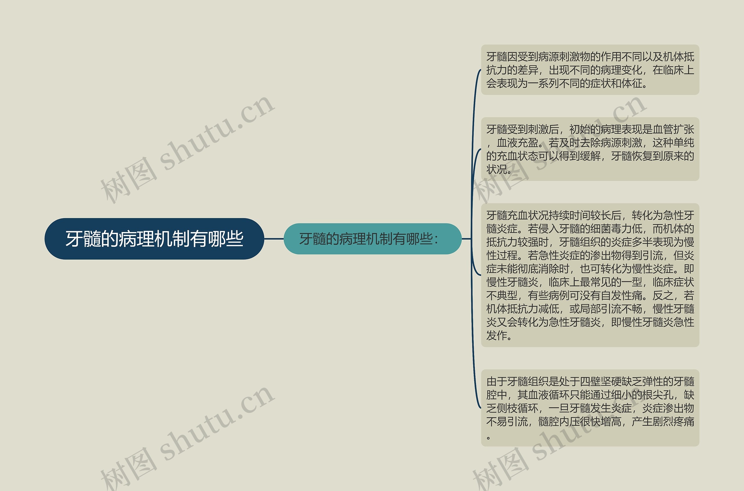 牙髓的病理机制有哪些