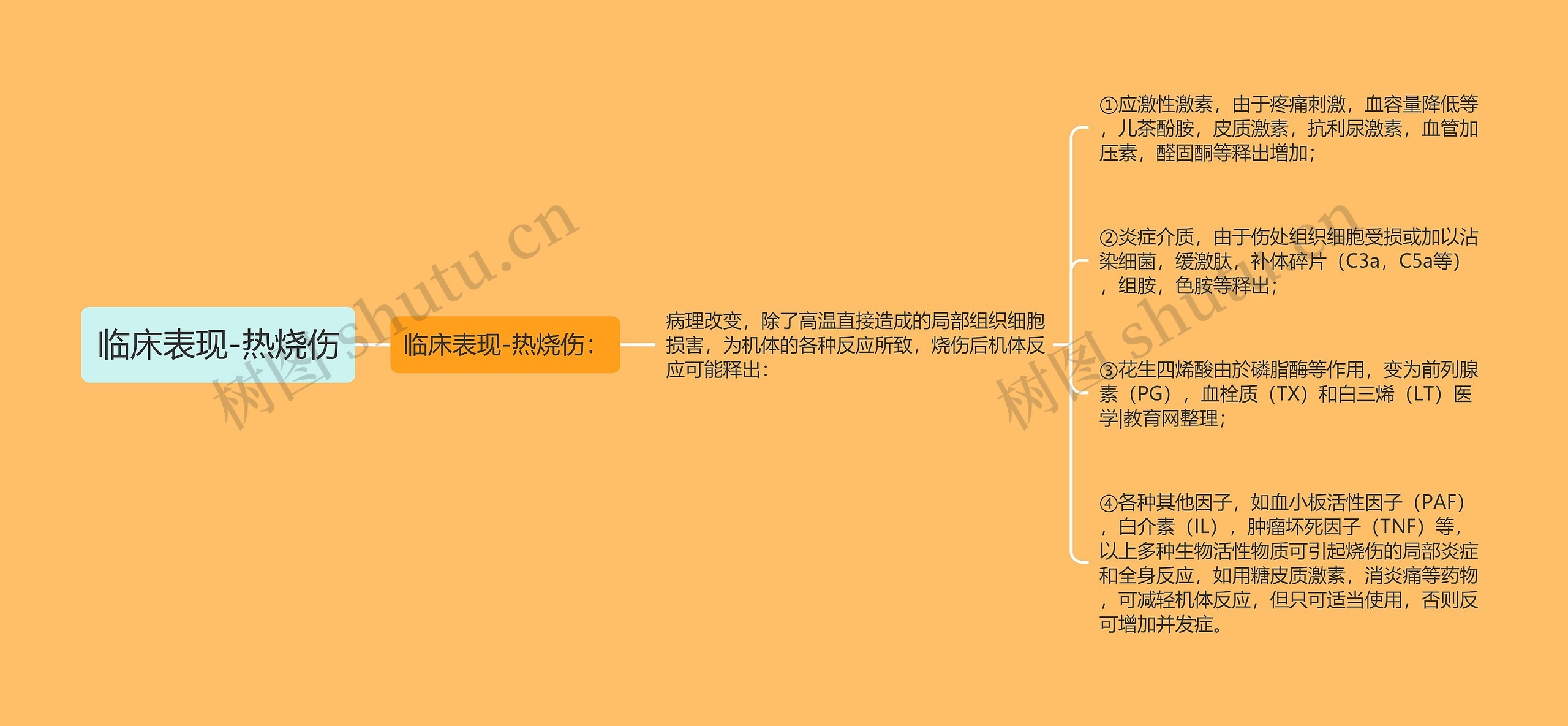 临床表现-热烧伤思维导图