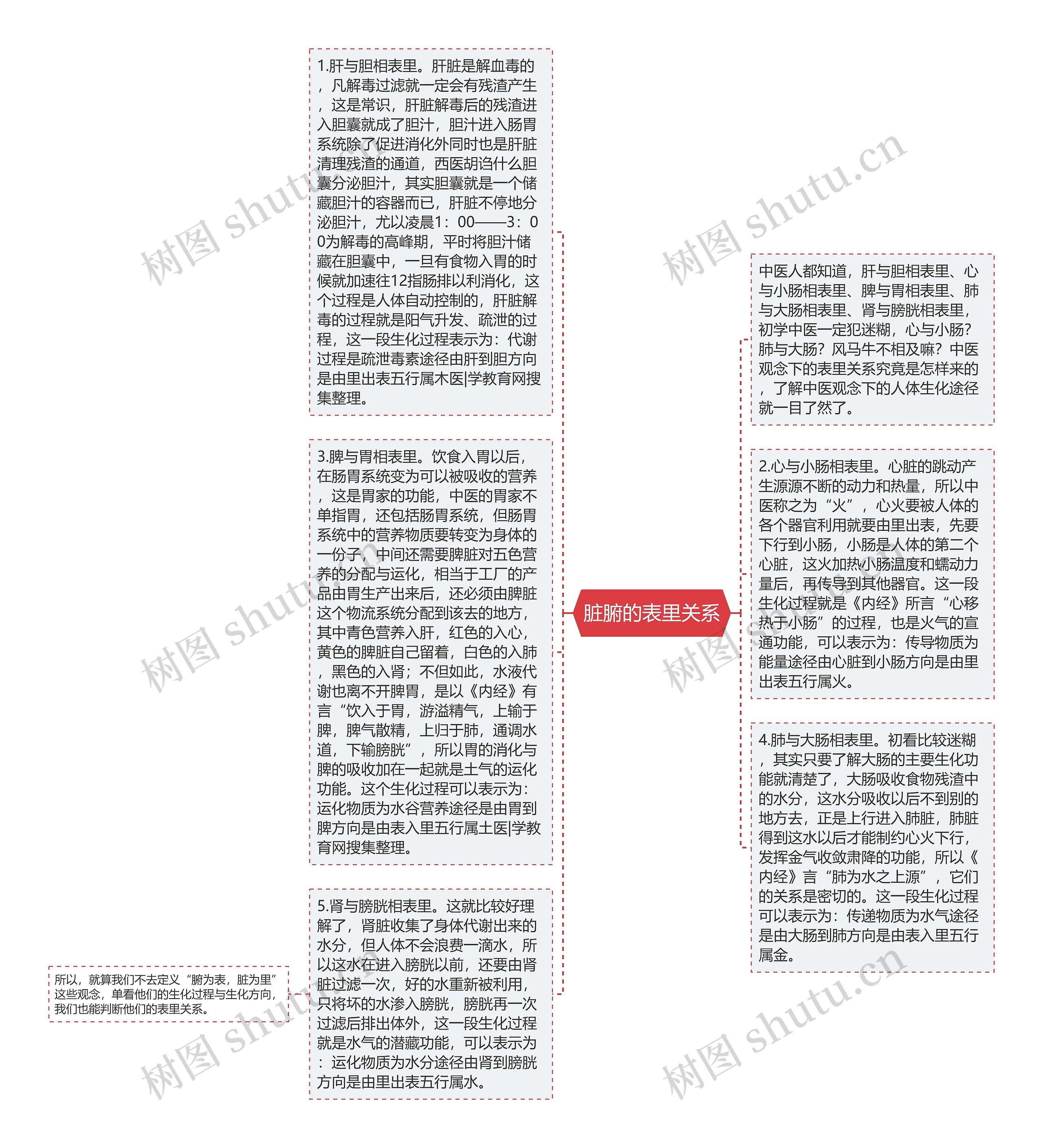 脏腑的表里关系