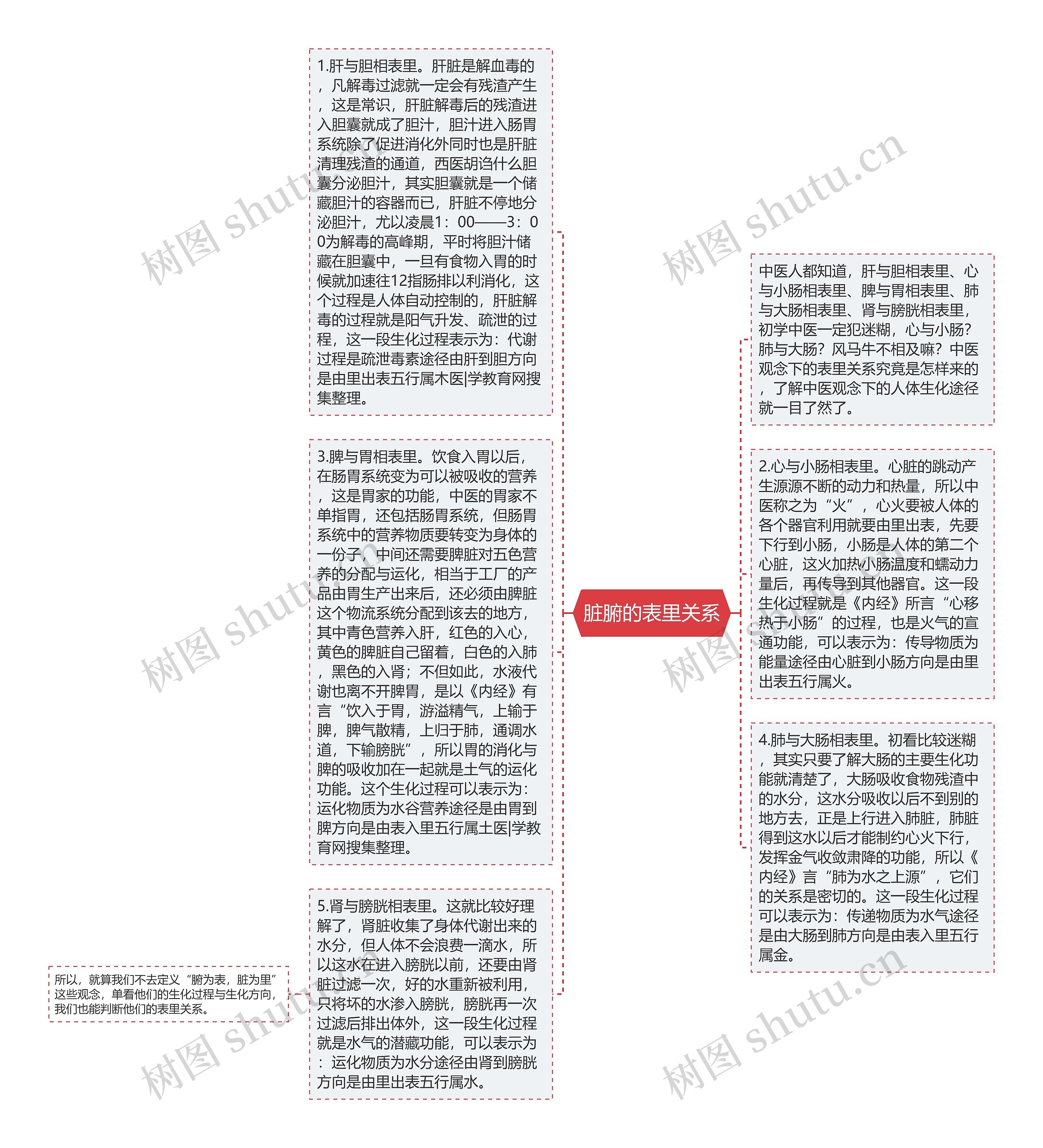 脏腑的表里关系思维导图