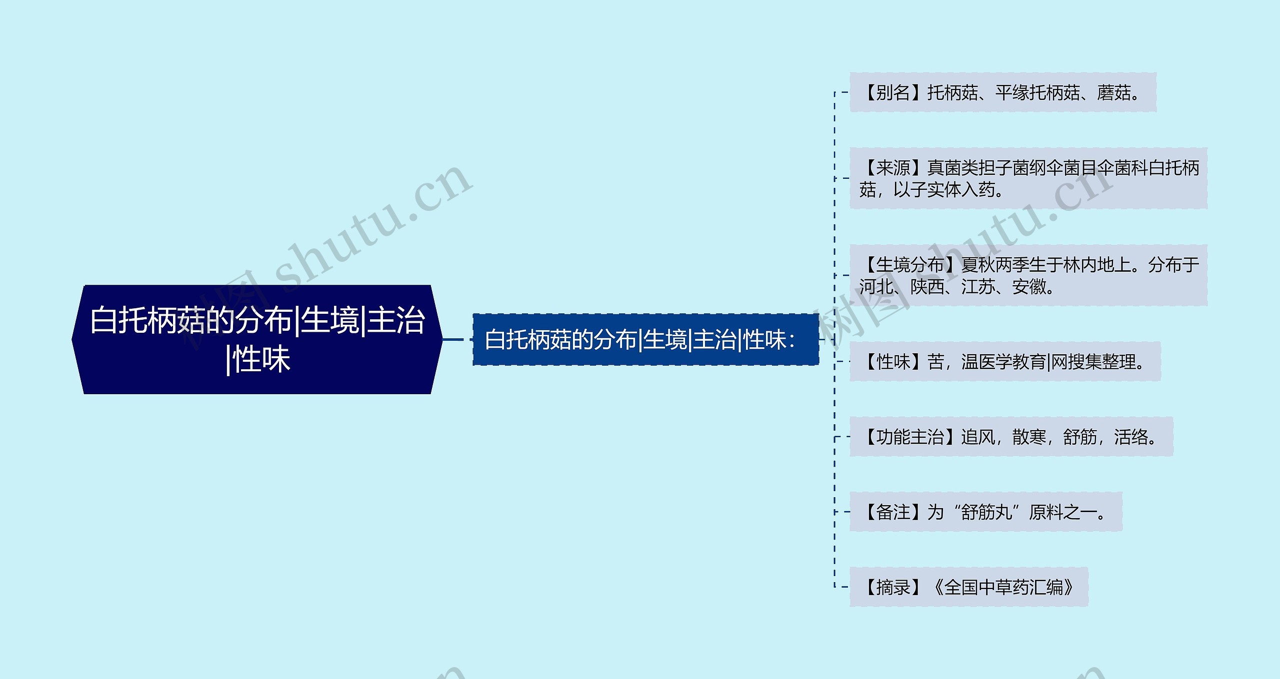 白托柄菇的分布|生境|主治|性味思维导图