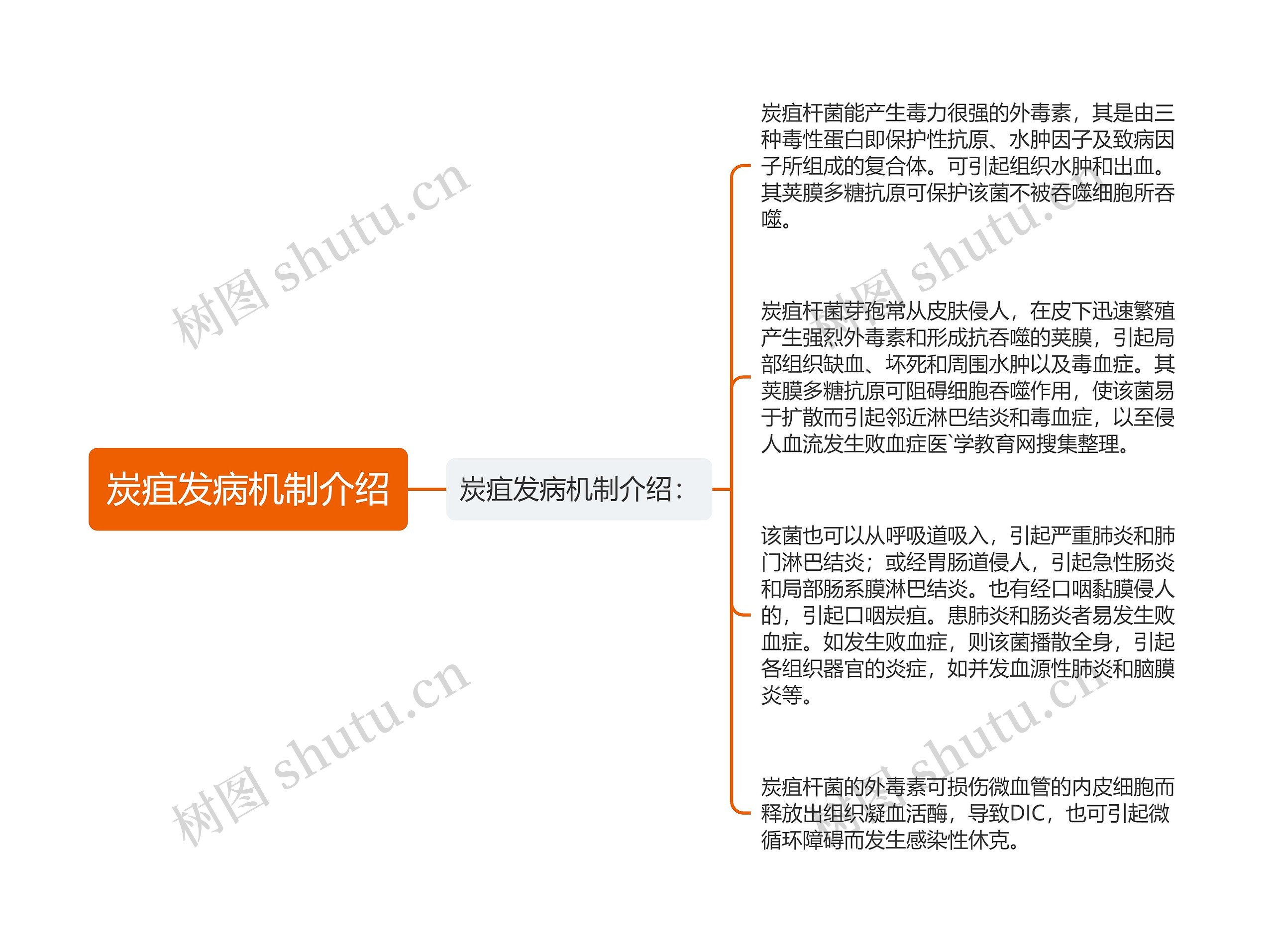 炭疽发病机制介绍思维导图