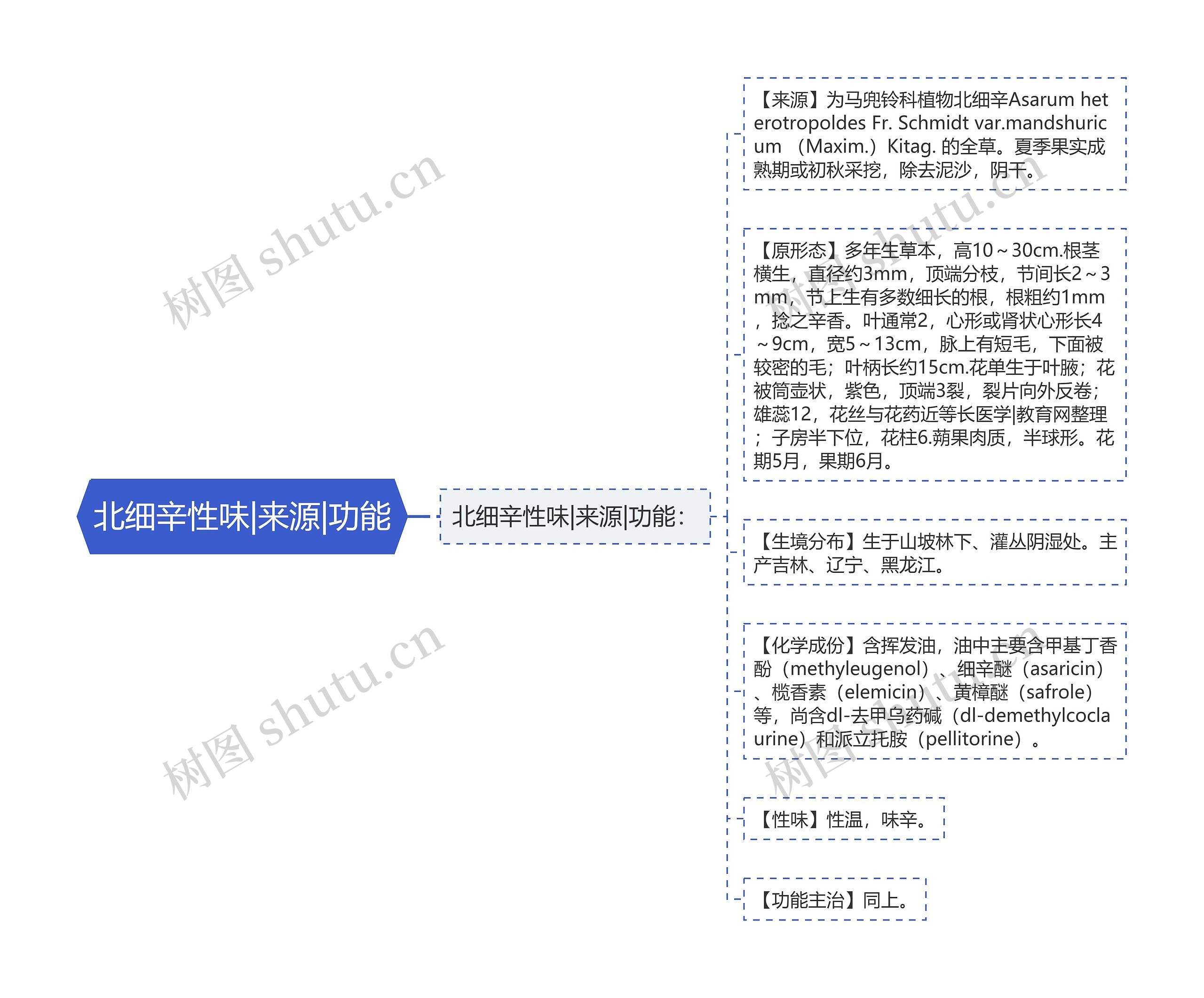 北细辛性味|来源|功能思维导图